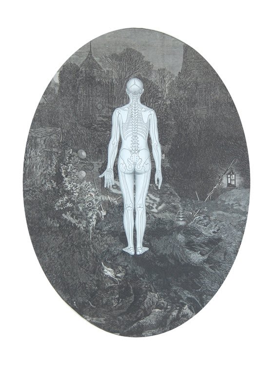 Anatomical drawing of a man in the woods