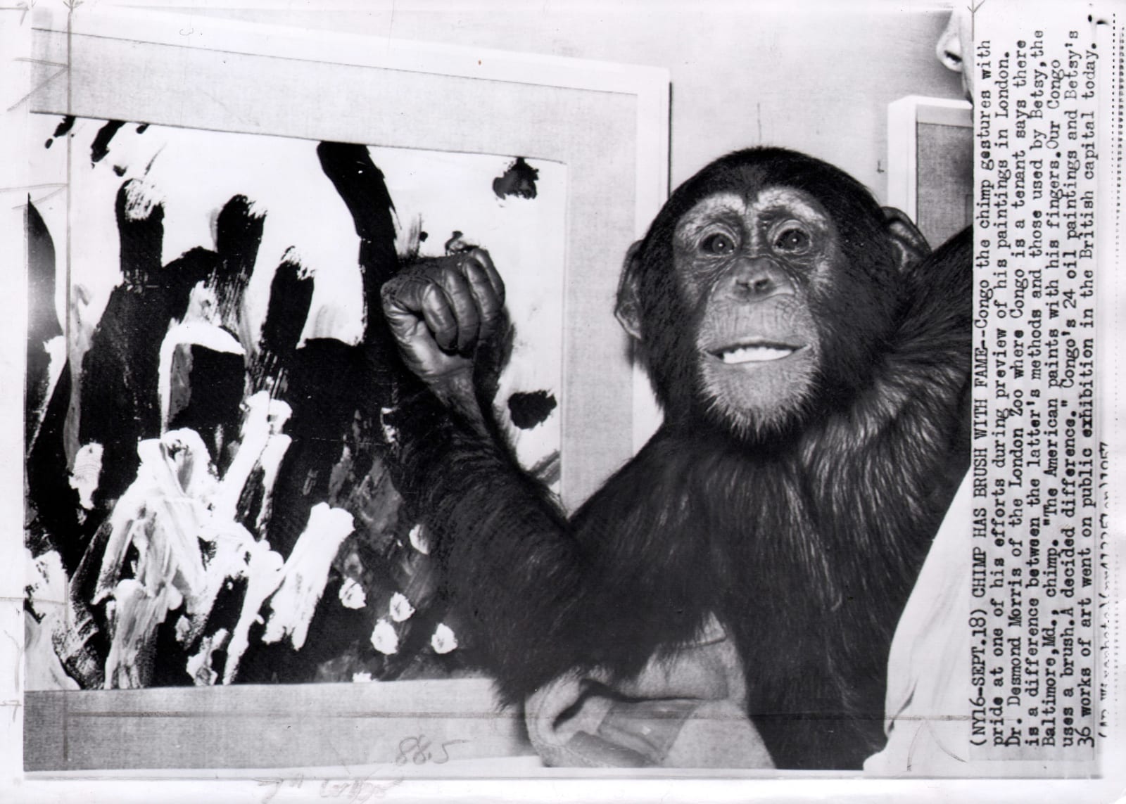 Black and white photograph of a chimp posing next to one of their paintings