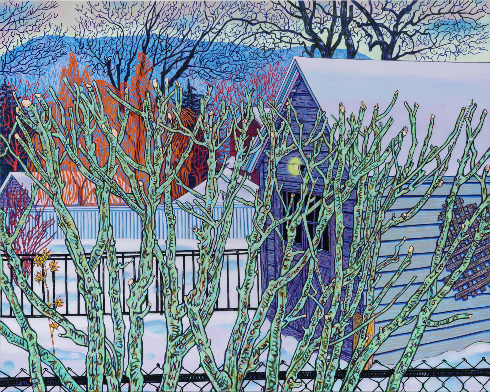 Rose of Sharon in Winter