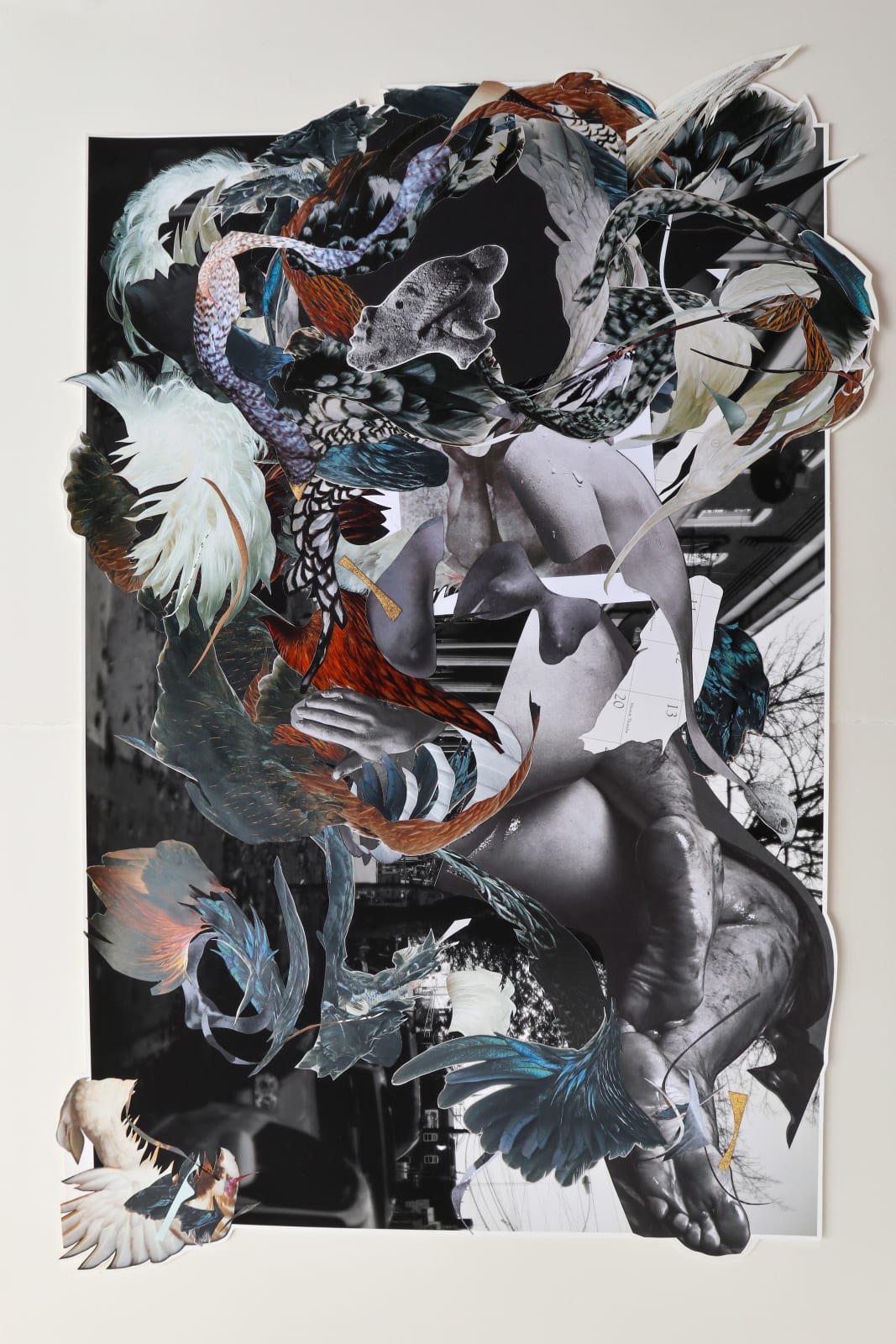 Framed collage featuring images from anthropological magazines, art publications, and colonial era photographs