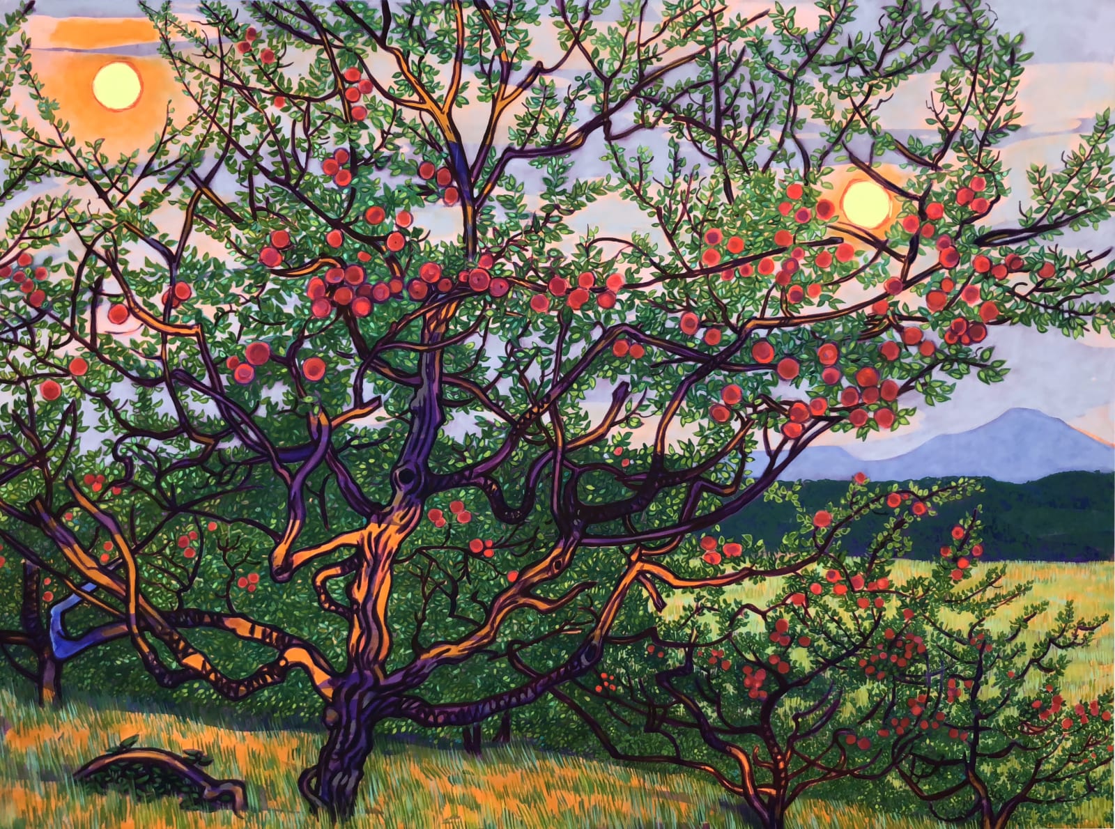 A Whole Day in the Apple Orchard