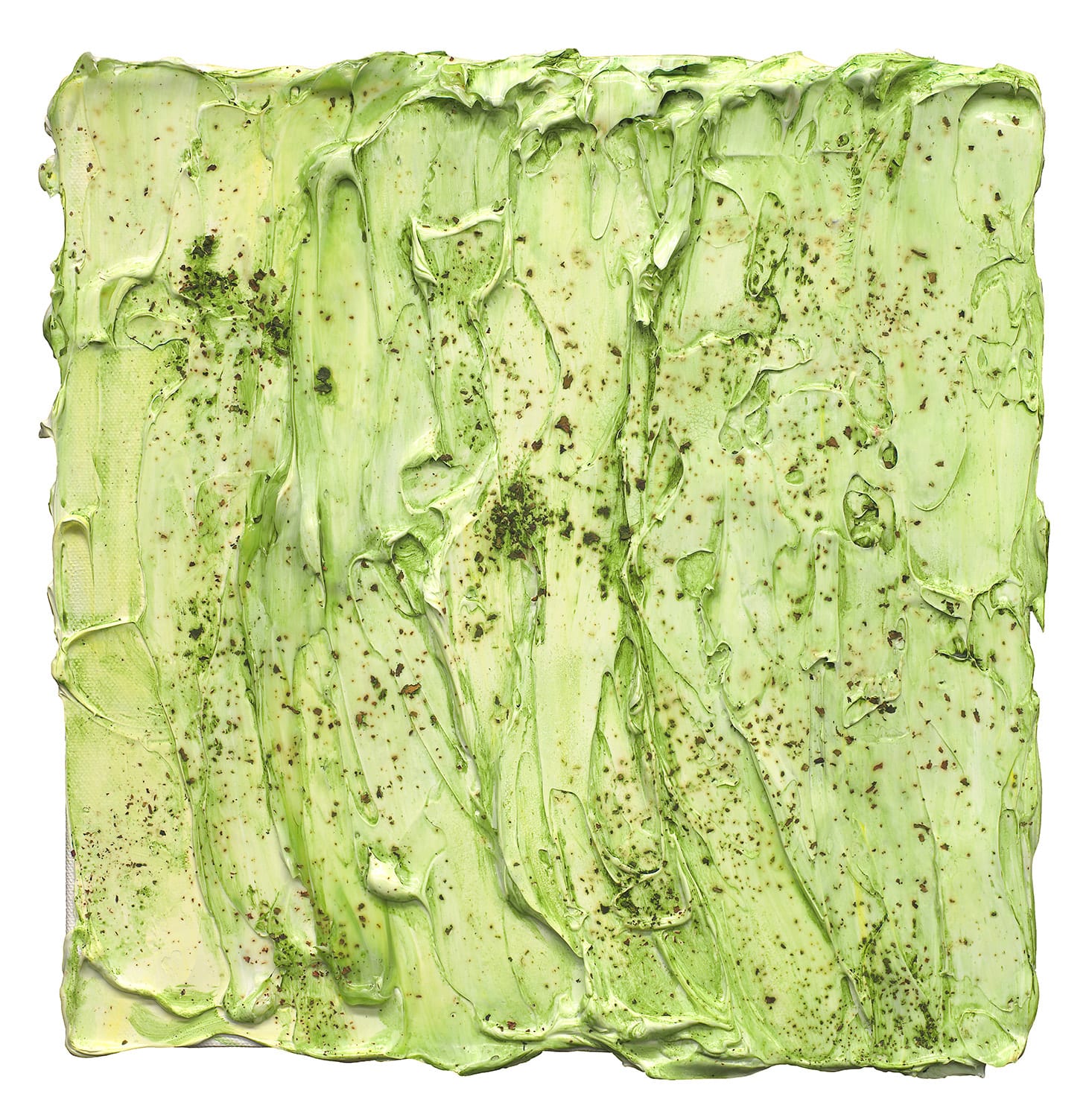 Susan Swartz, Living Wall 5 Installation, 2025