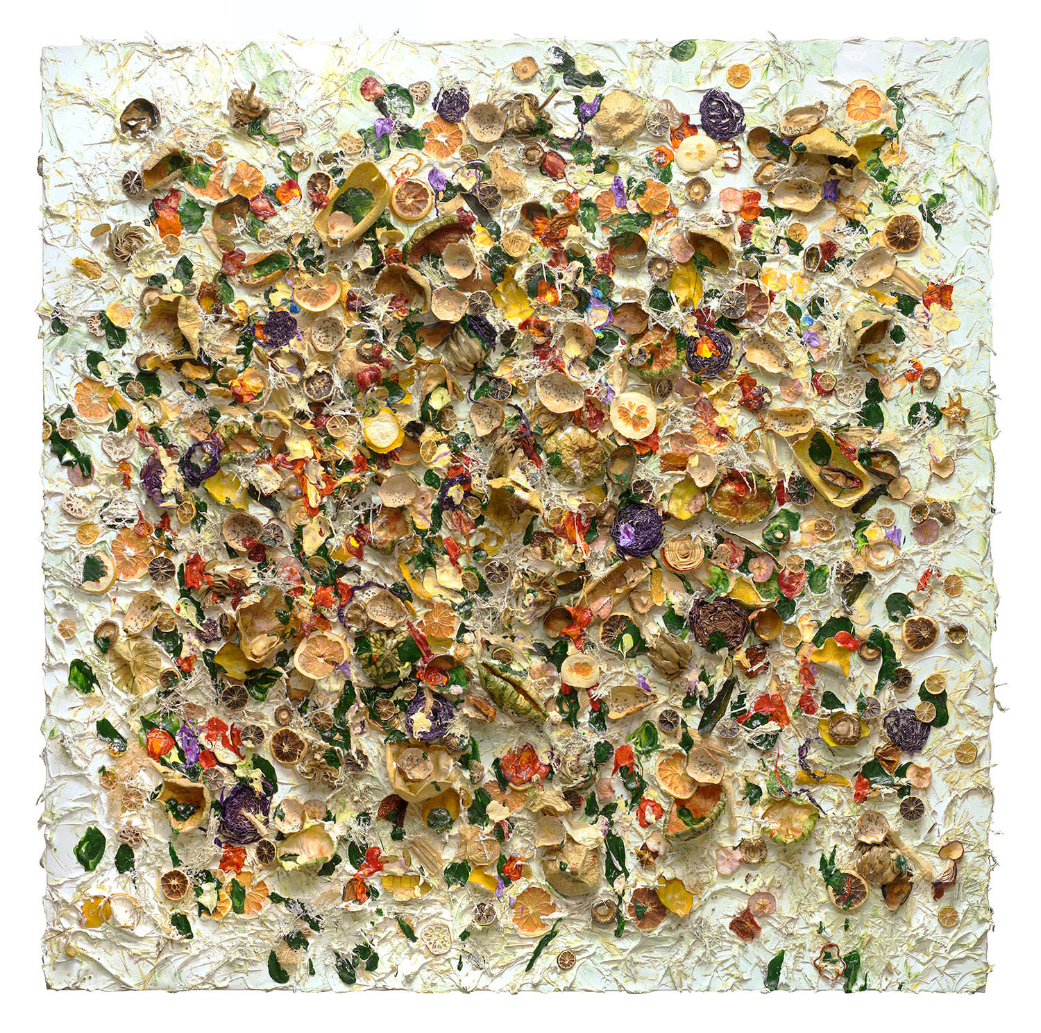 Susan Swartz, Evolution of Nature 21, 2021