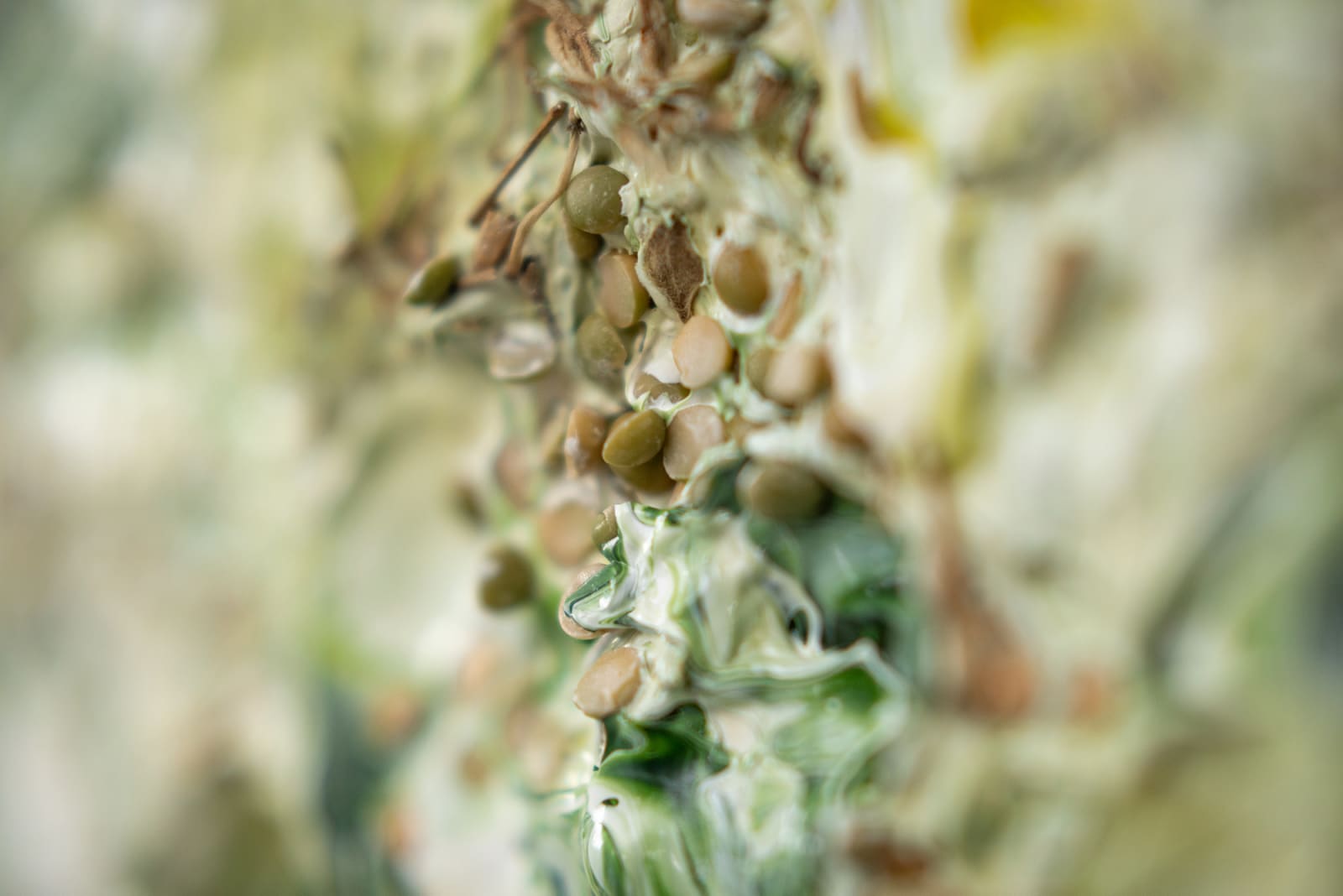 Susan Swartz, Evolution of Nature 1, 2020