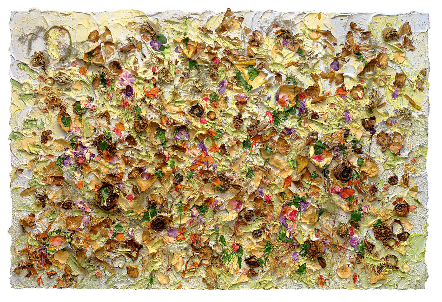 Susan Swartz, Evolution of Nature 12, 2020