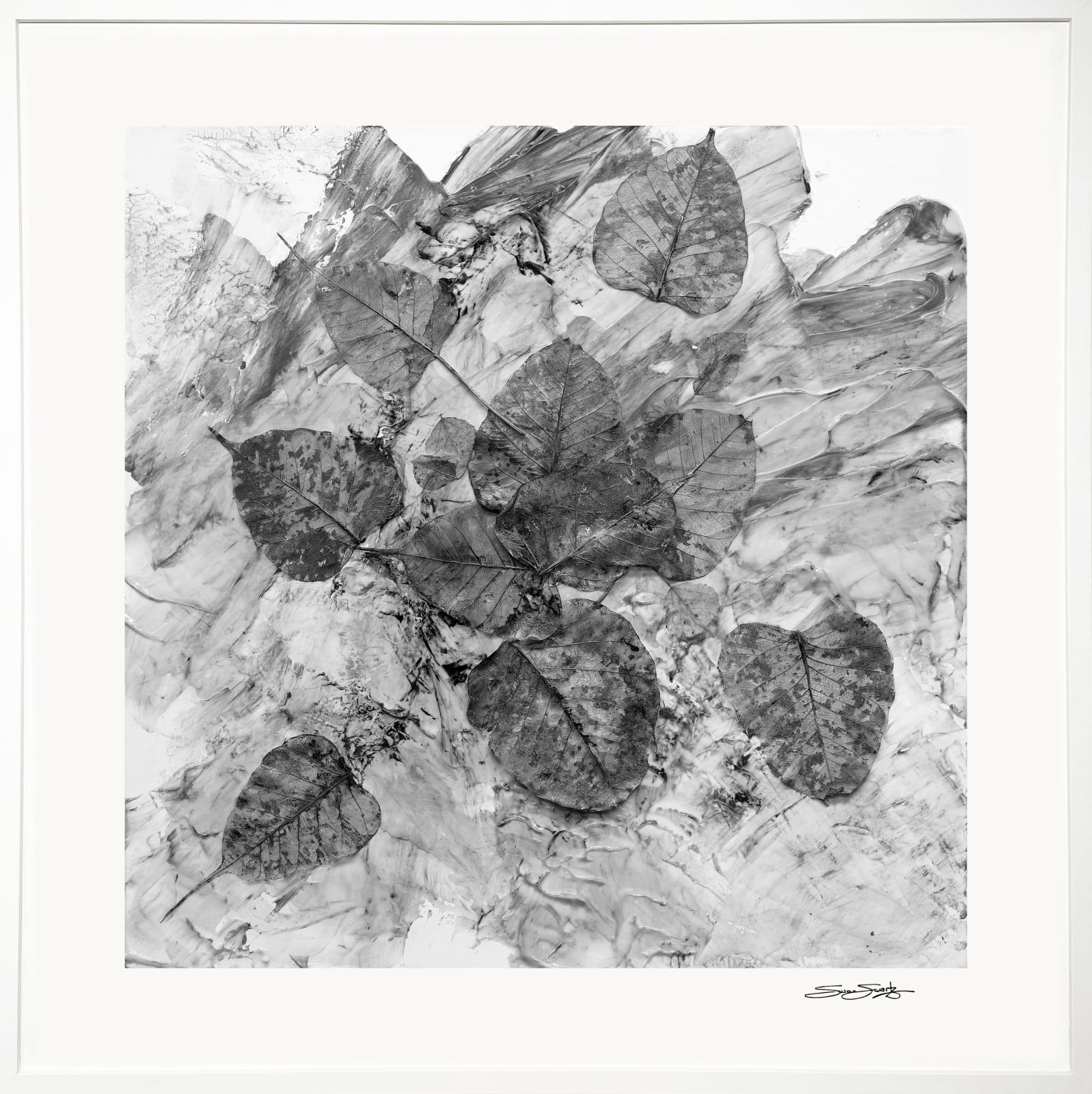 Susan Swartz, Changing Seasons 1 (B&W 1), 2022