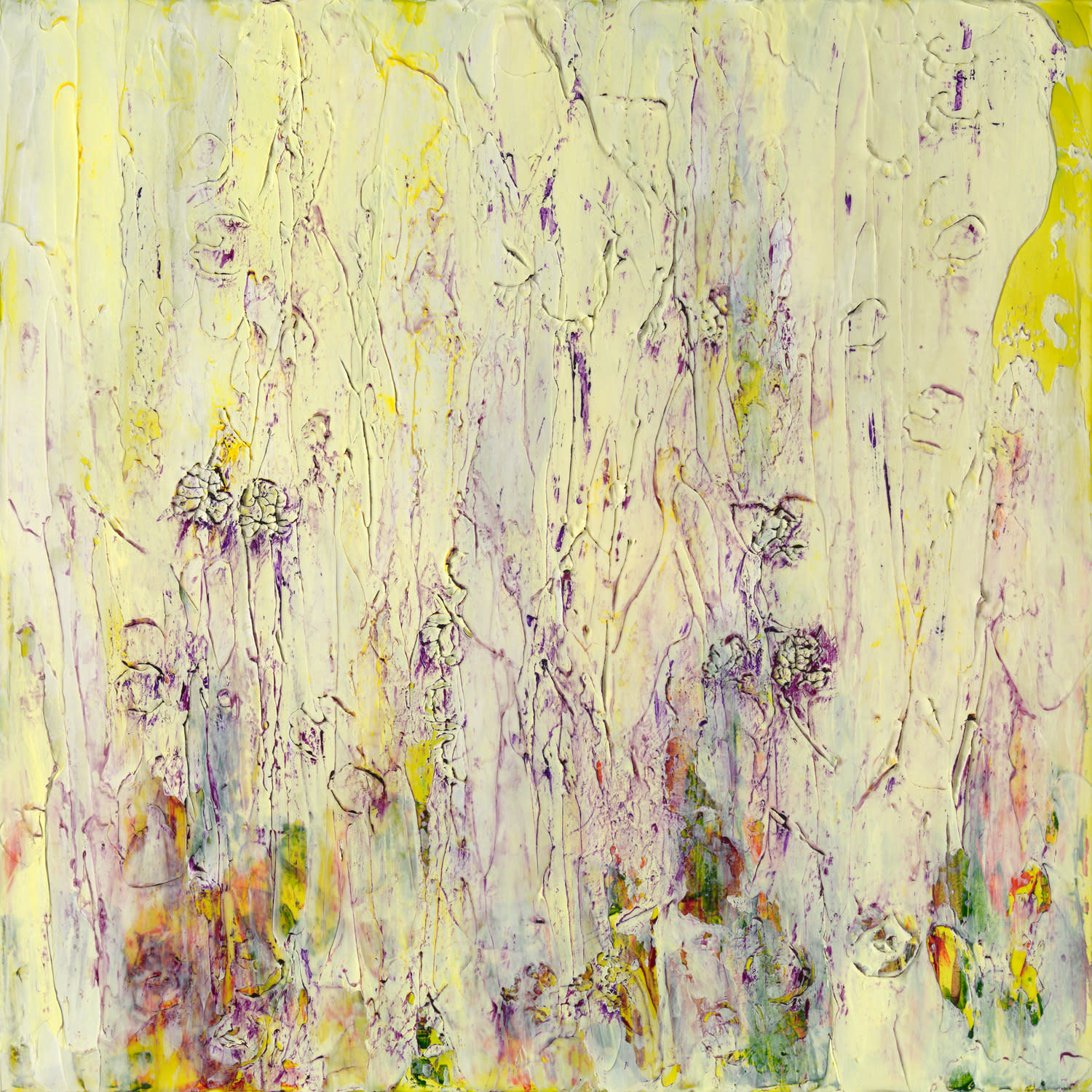 Susan Swartz, Nature Revisited 49, 2018