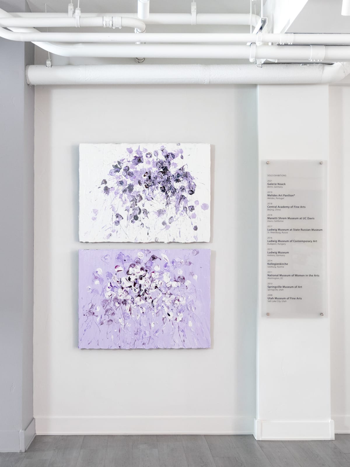 Susan Swartz, Boundless 5, 2020