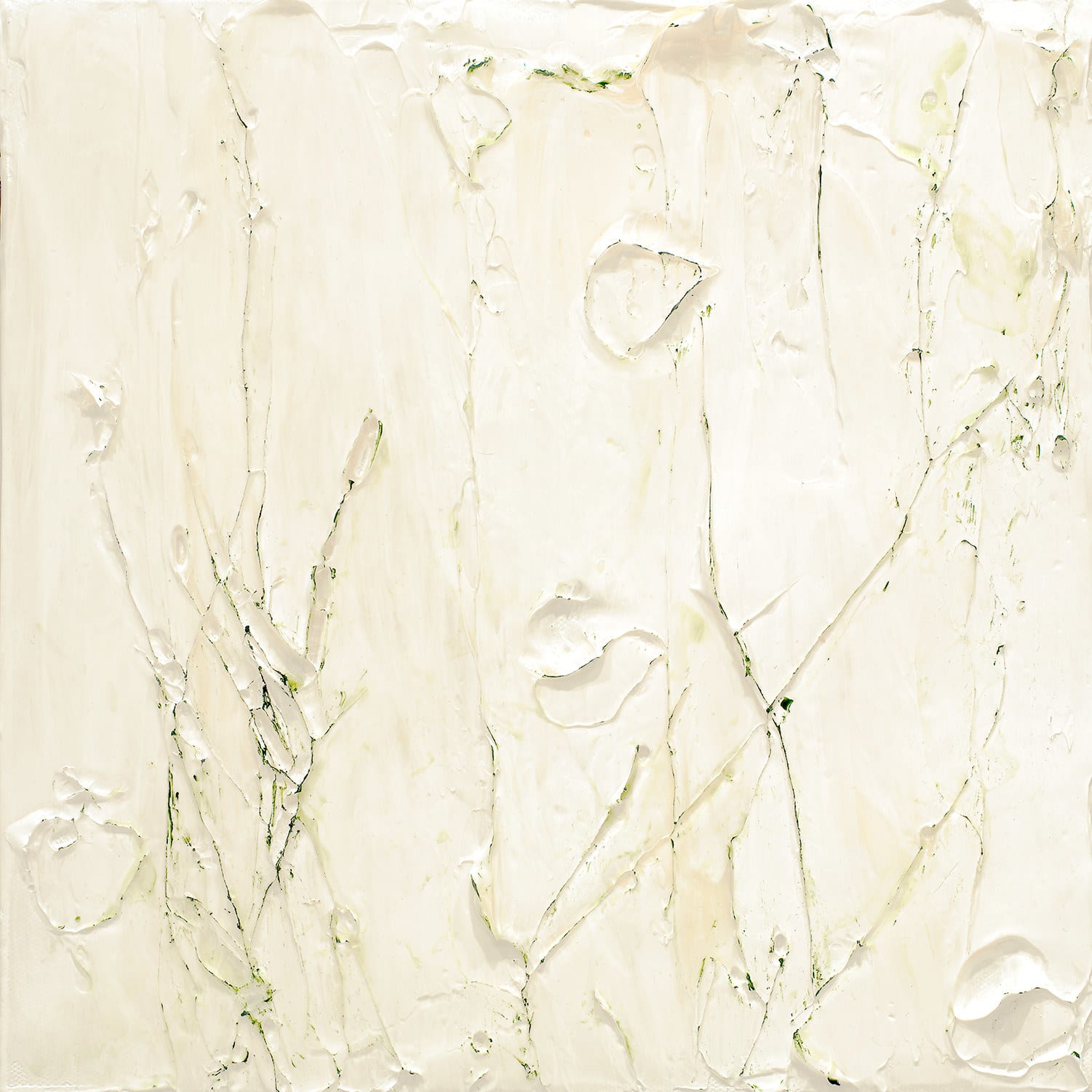 Susan Swartz, Nature Revisited 21, 2017