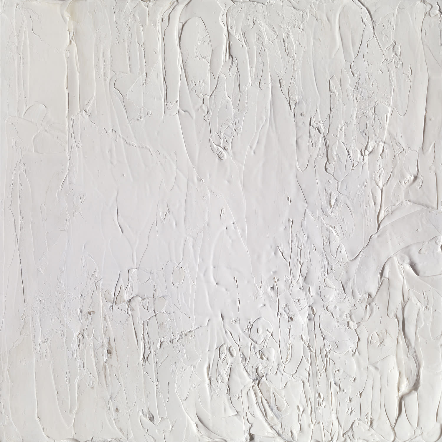 Susan Swartz, Nature Revisited 82, 2018