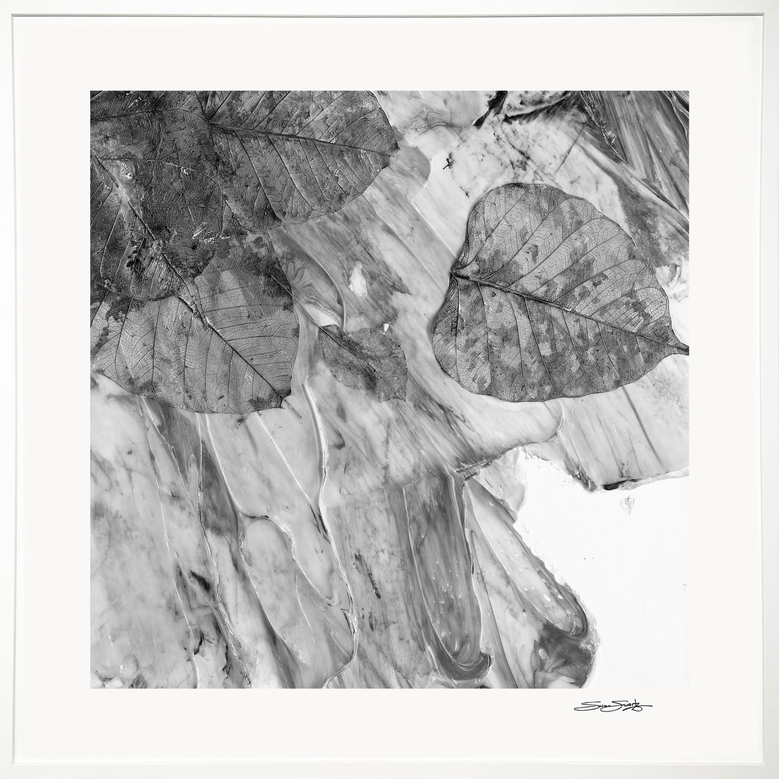 Susan Swartz, Changing Seasons 1 (B&W 3), 2022