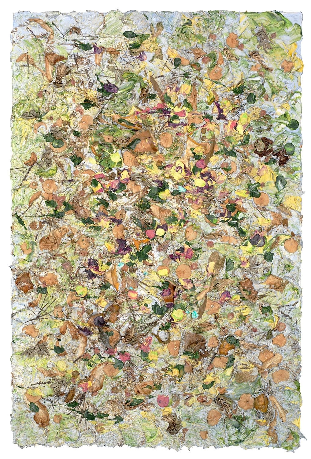 Susan Swartz, Evolution of Nature 11, 2020