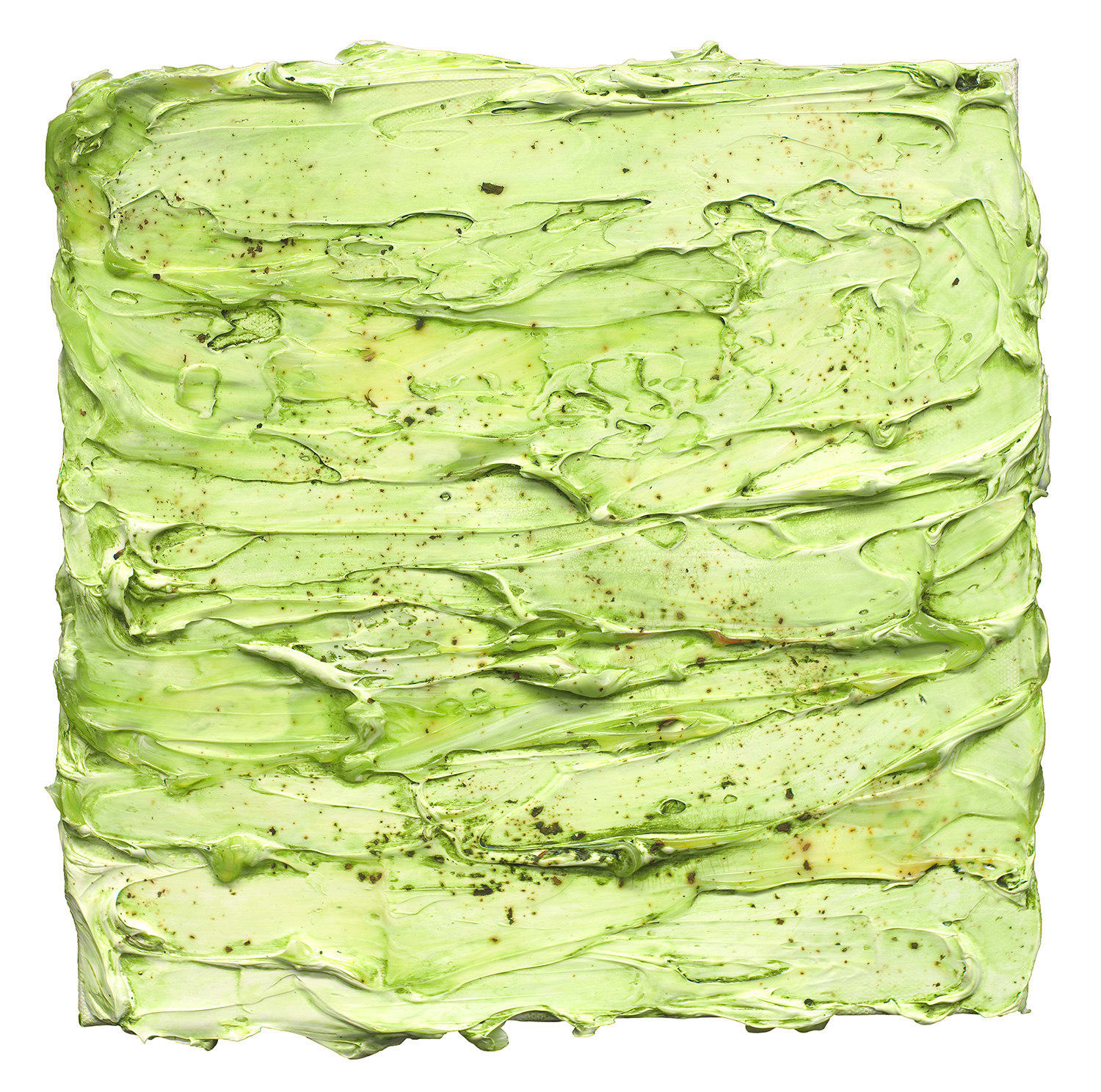 Susan Swartz, Living Wall 5 Installation, 2025