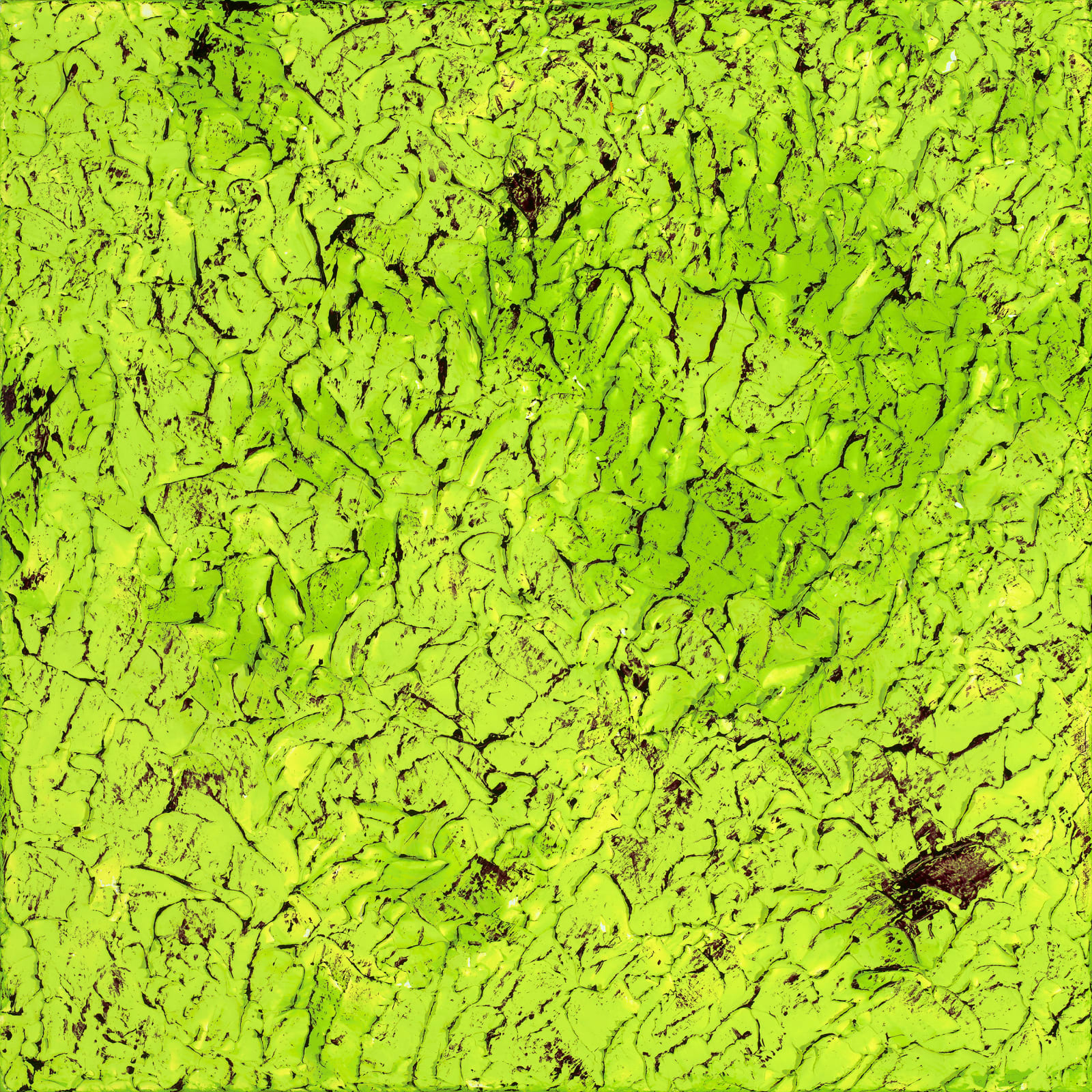 Susan Swartz, NZ Fragmented 5, 2016