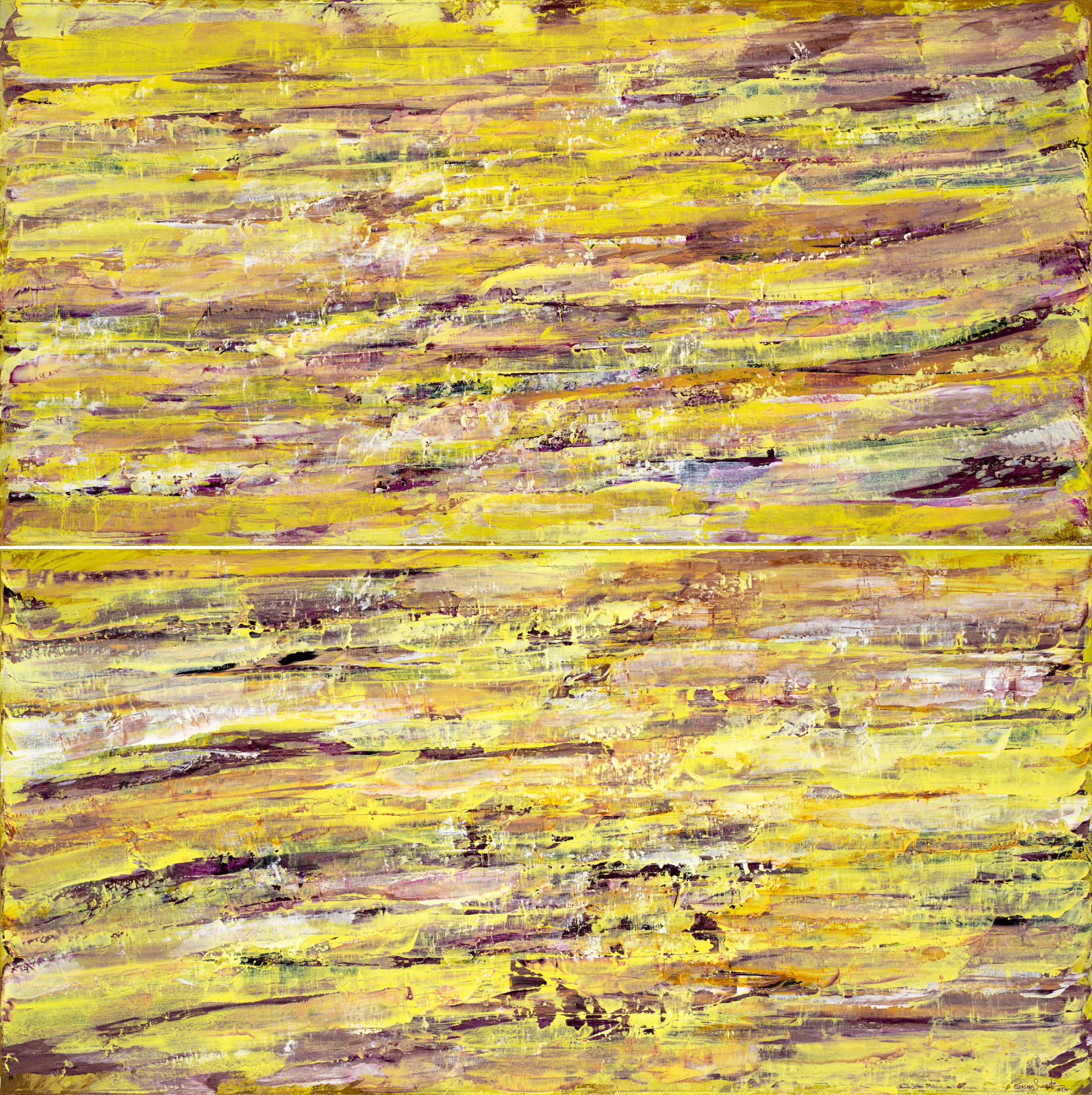 Susan Swartz, Creation 7 Diptych (Top), 2014