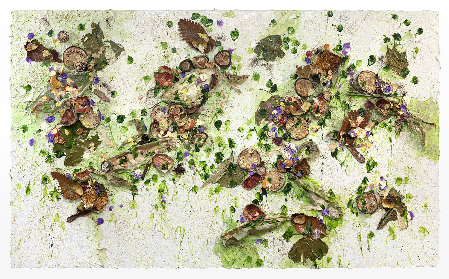 Susan Swartz, Evolution of Nature 25, 2022