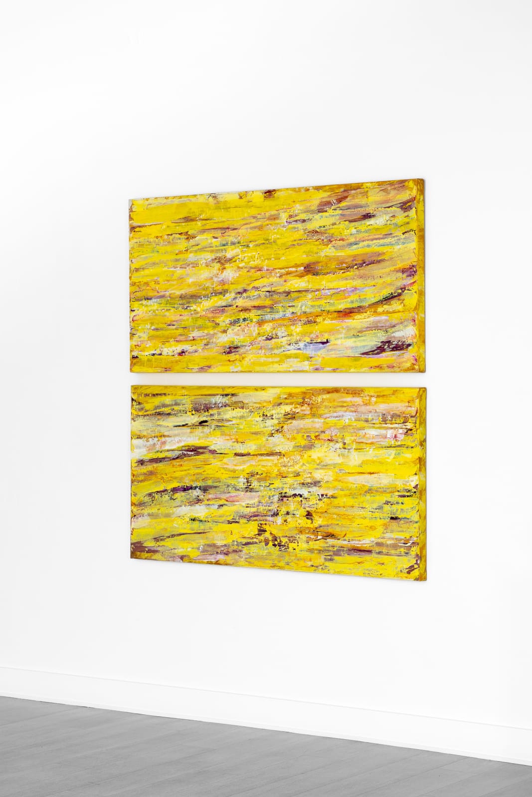 Susan Swartz, Creation 7 Diptych (Bottom), 2014