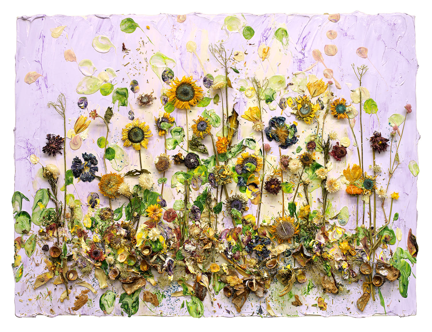Susan Swartz, Sunflowers 23, 2025