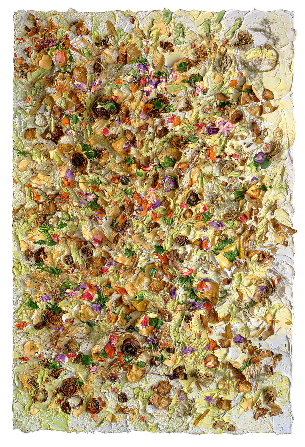 Susan Swartz, Evolution of Nature 12, 2020