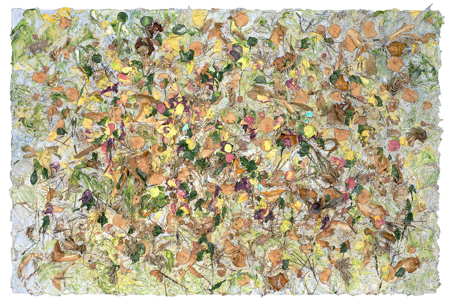 Susan Swartz, Evolution of Nature 11, 2020