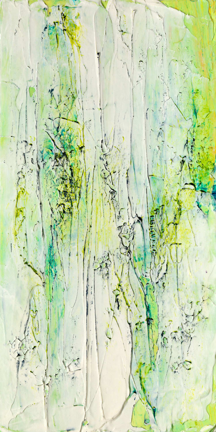 Susan Swartz, Nature Revisited 62, 2018