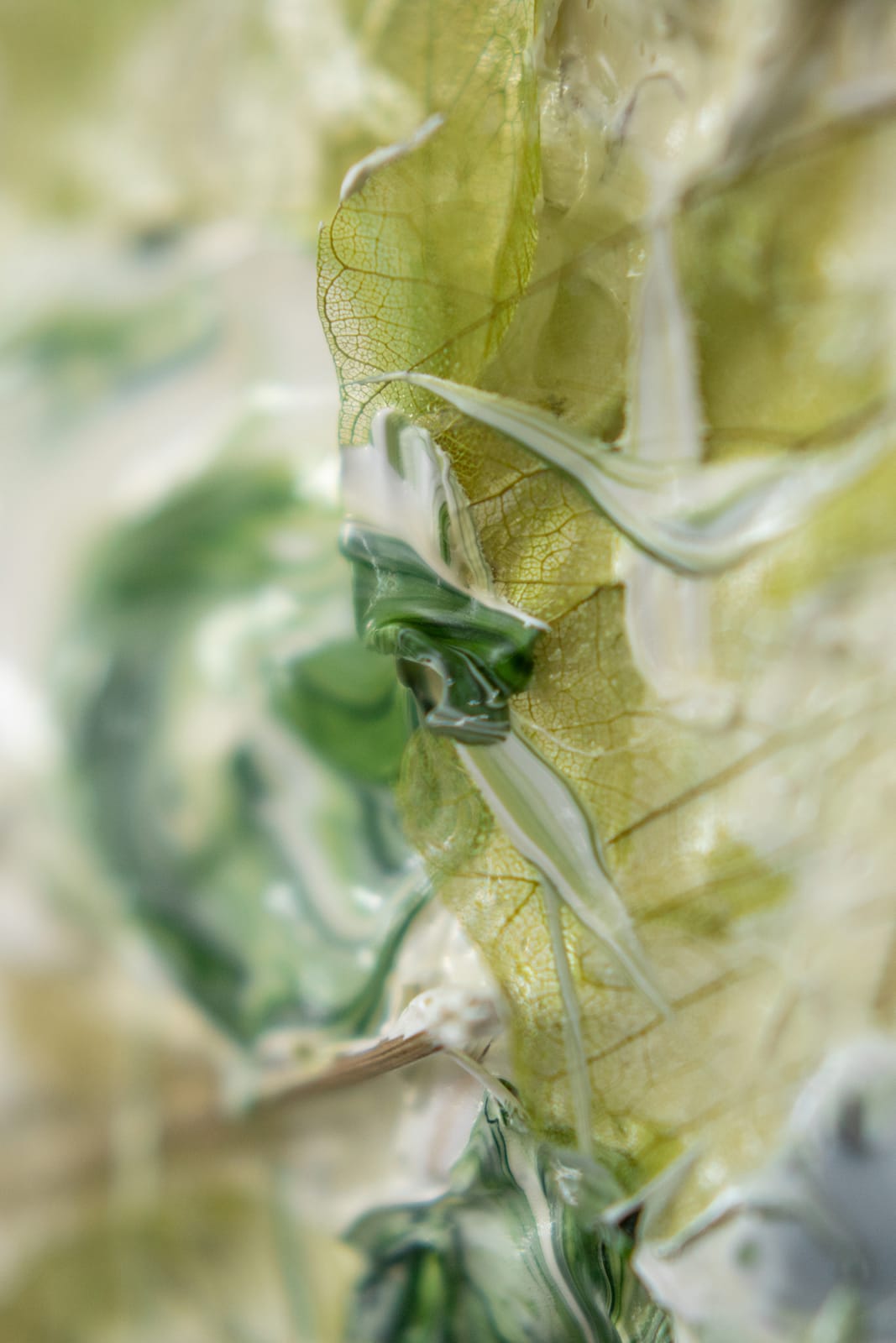 Susan Swartz, Evolution of Nature 1, 2020