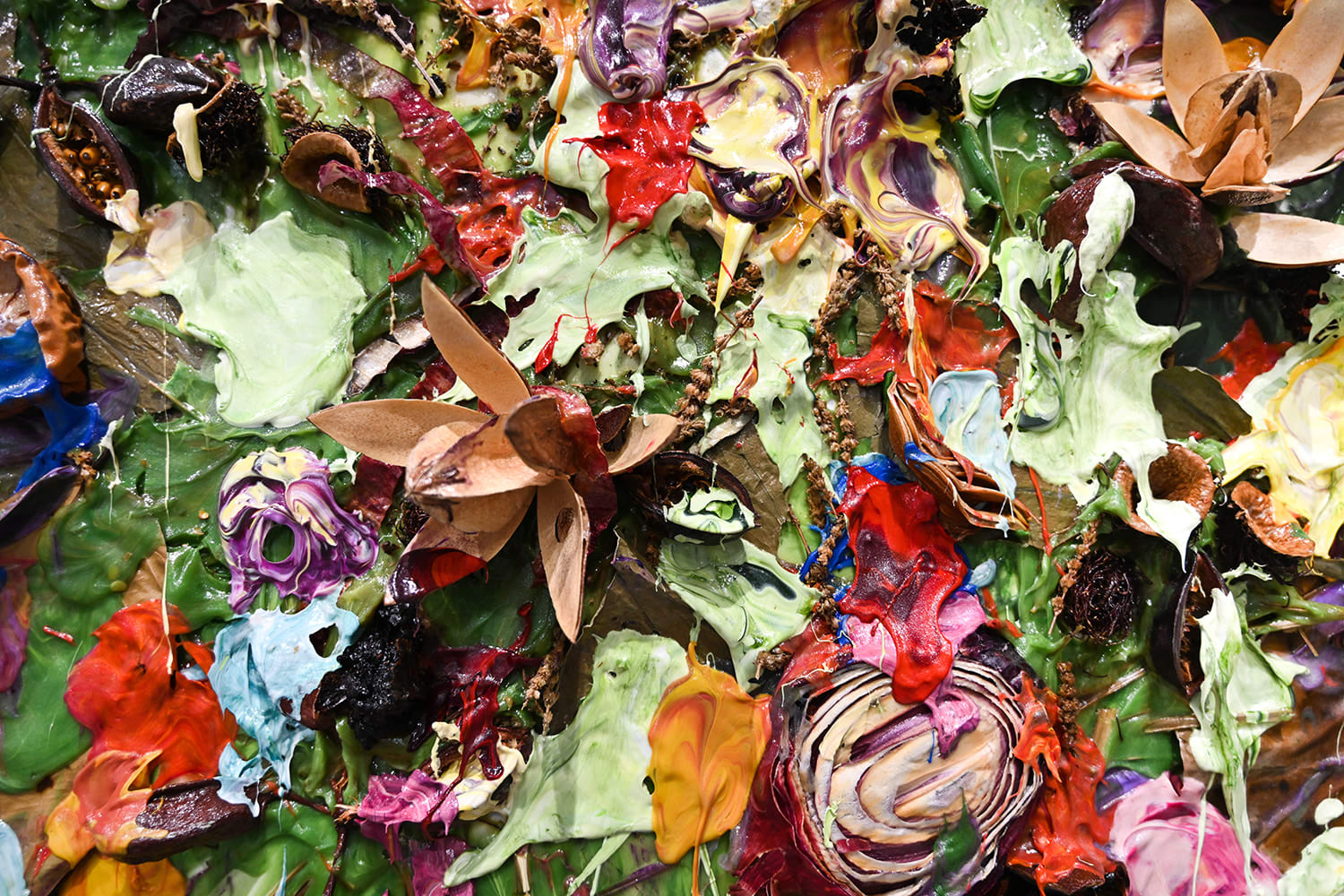 Susan Swartz, Evolution of Nature 24, 2022