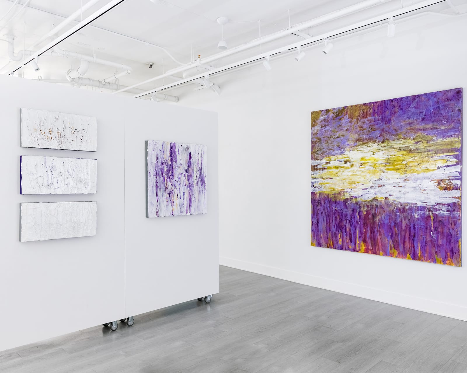 Susan Swartz, Evolving Visions 2, 2015