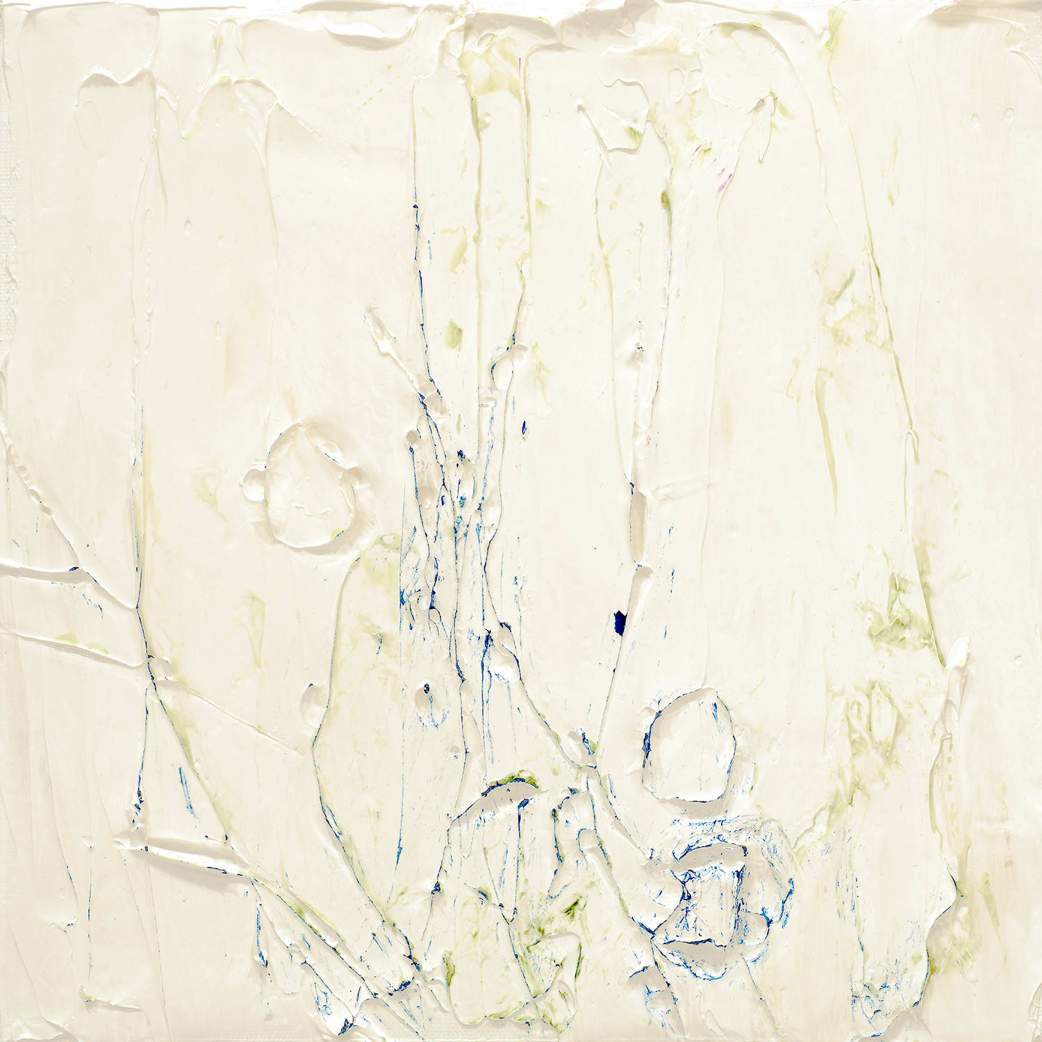 Susan Swartz, Nature Revisited 22, 2017