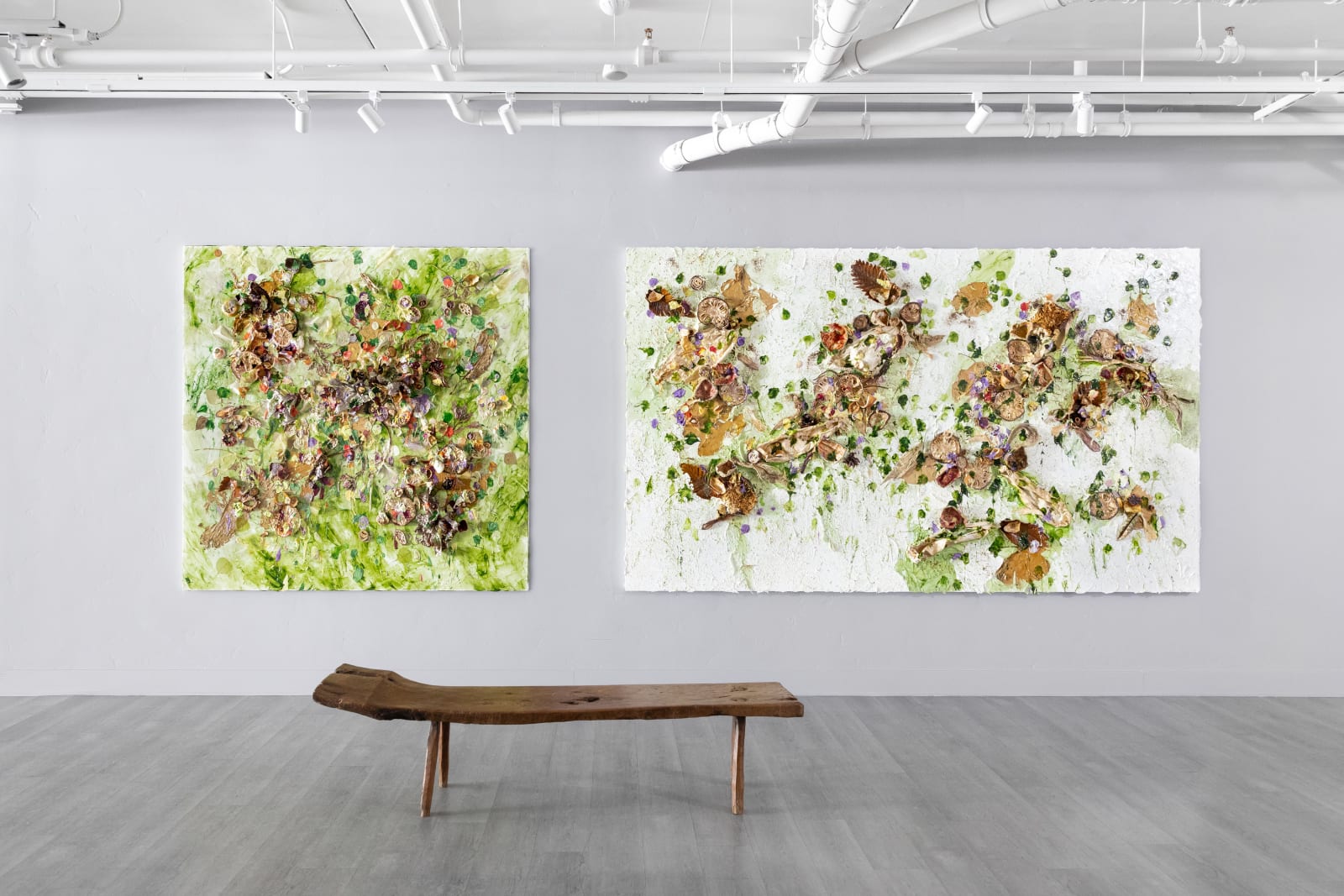 Susan Swartz, Evolution of Nature 26, 2022