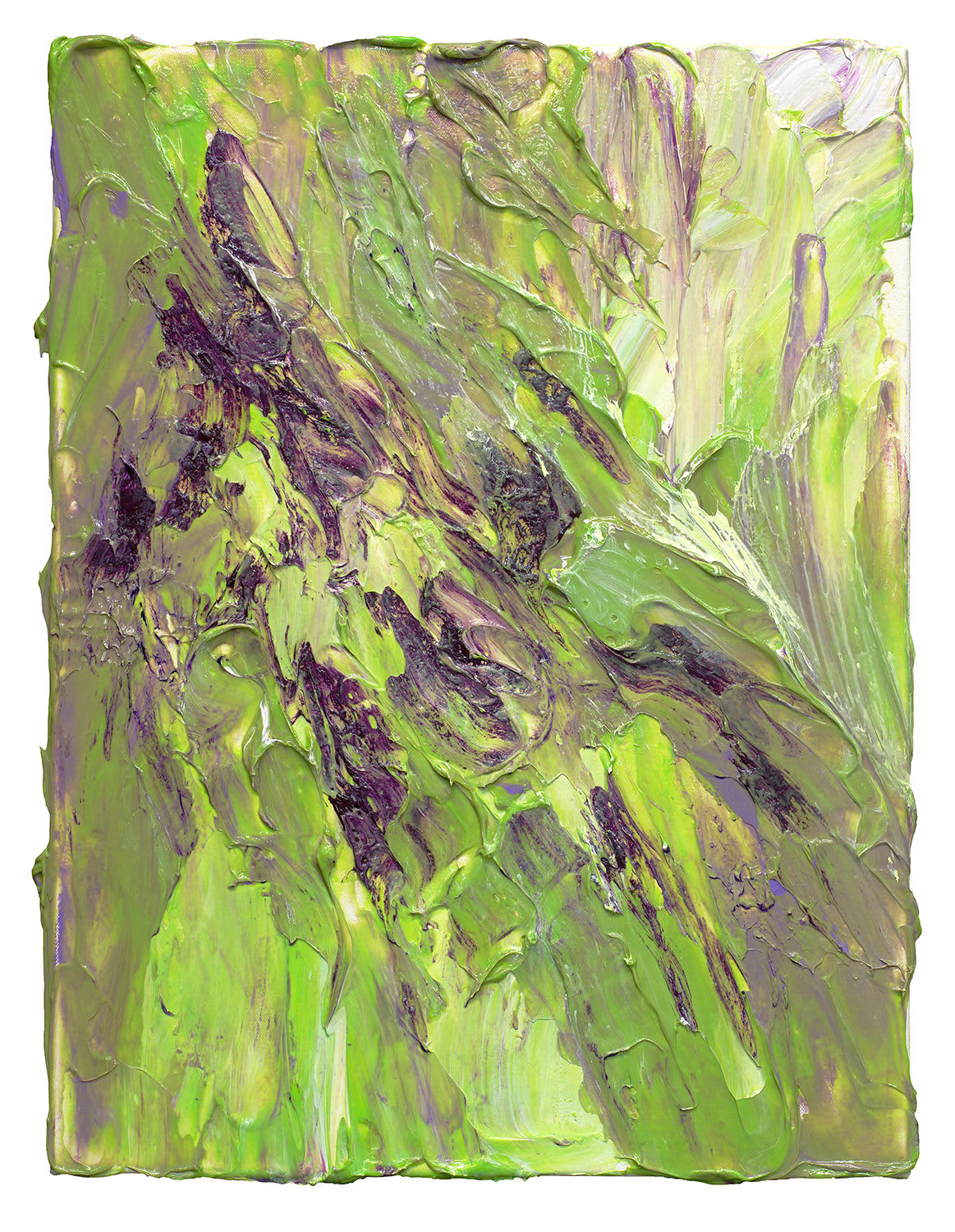 Susan Swartz, Sea Moss, 2021