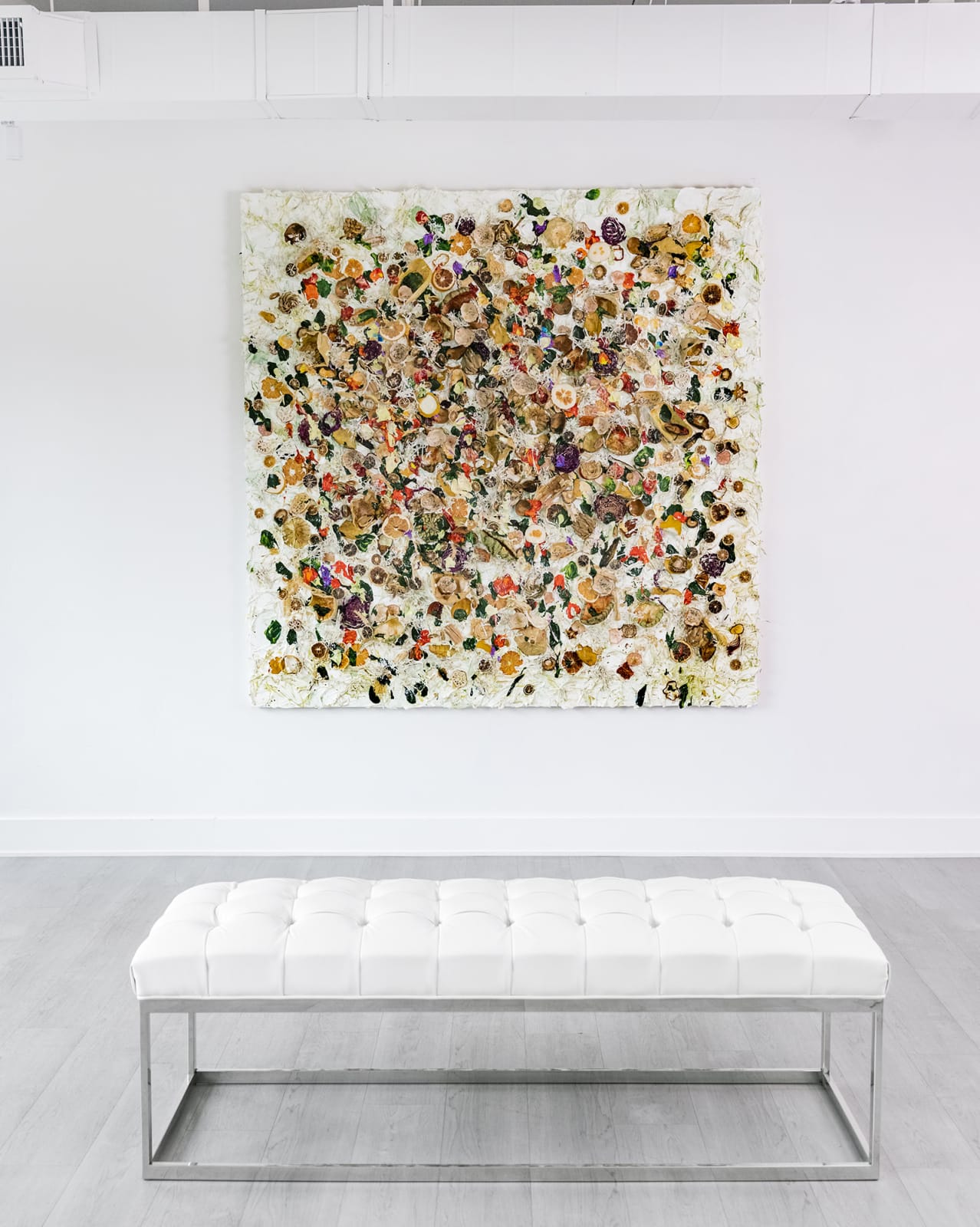 Susan Swartz, Evolution of Nature 21, 2021