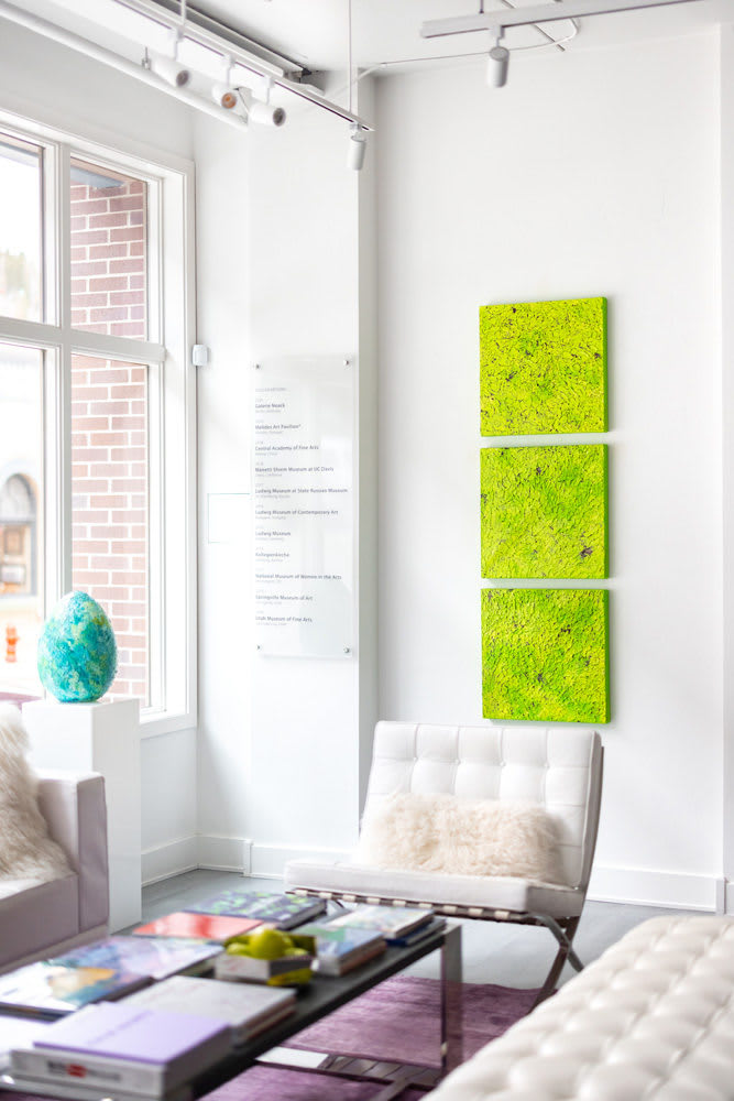 Susan Swartz, NZ Fragmented 5, 2016