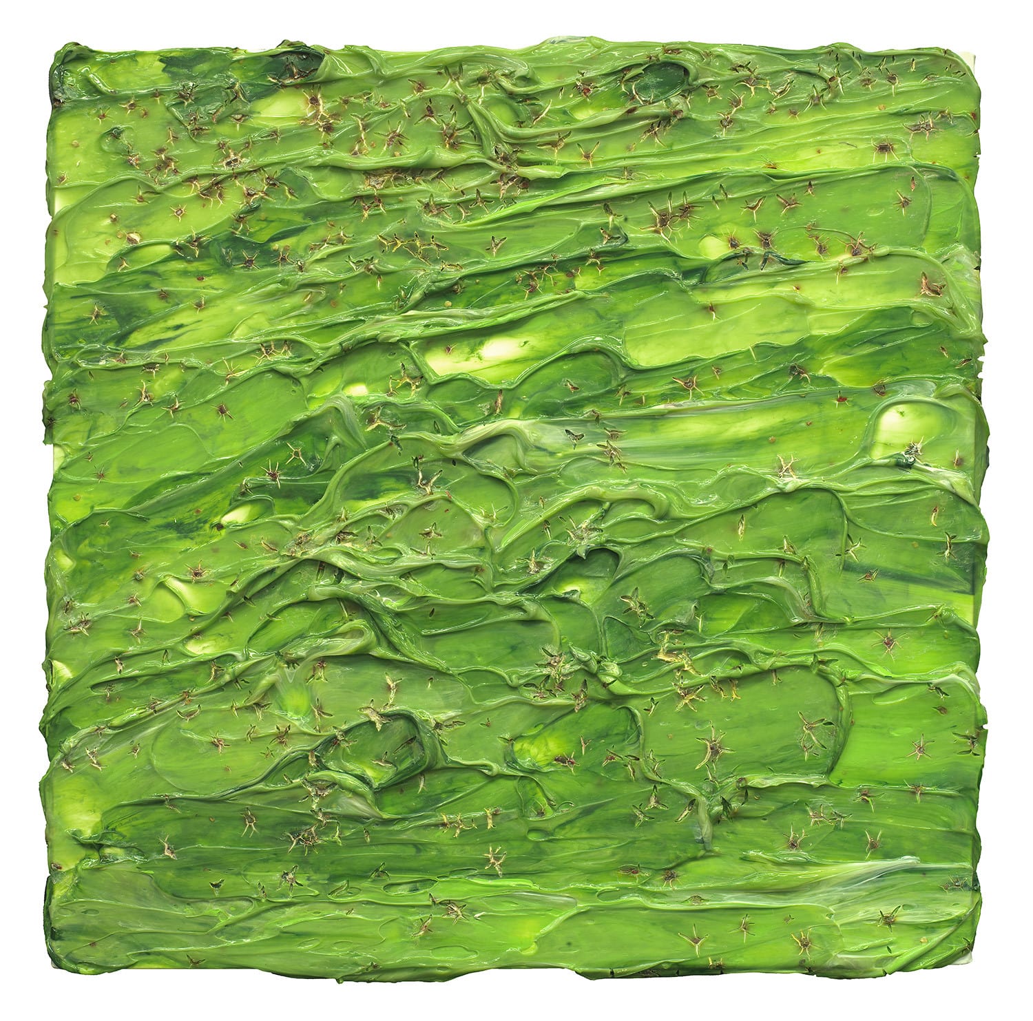 Susan Swartz, Blooming 11, 2022