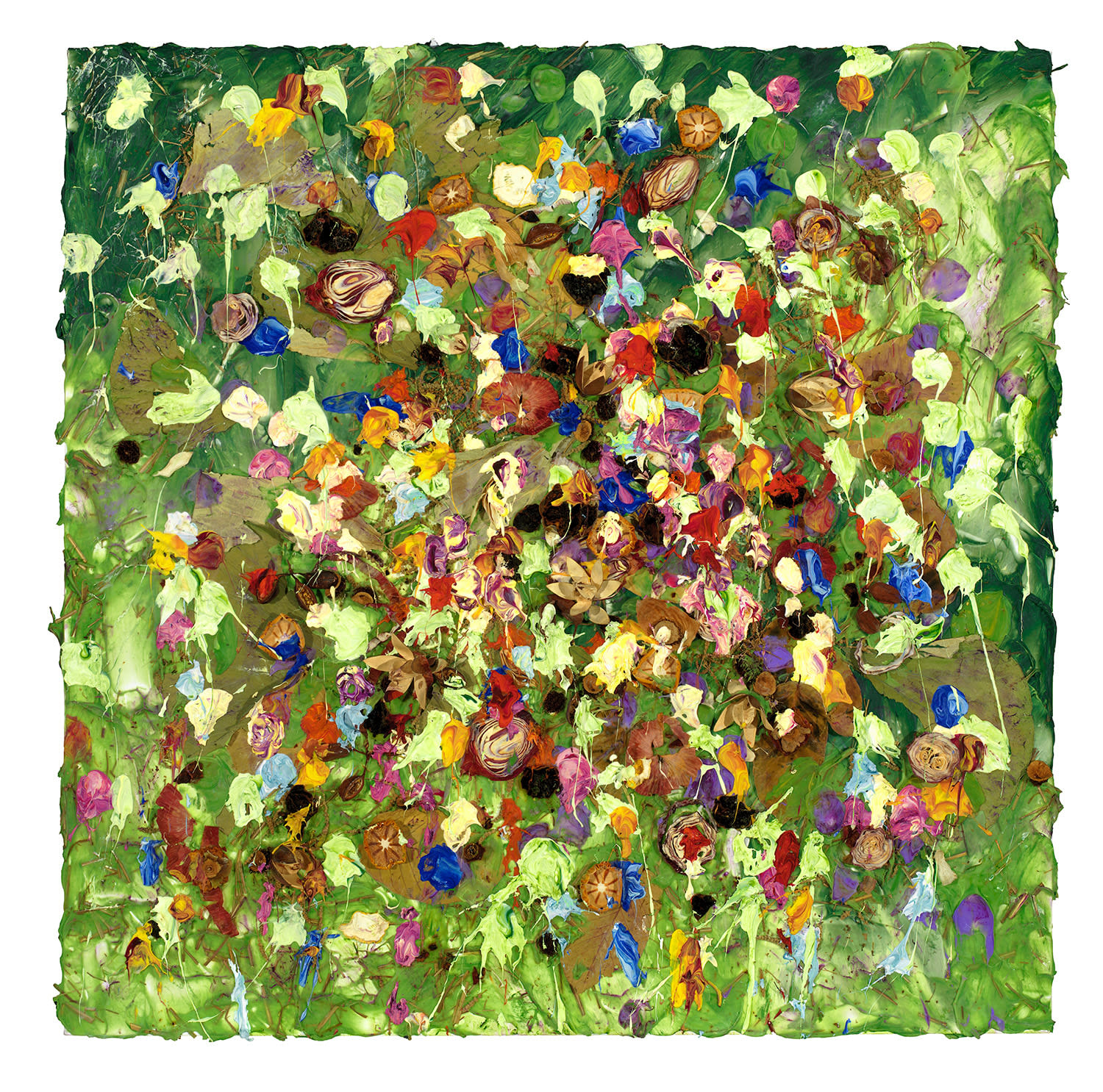 Susan Swartz, Evolution of Nature 24, 2022