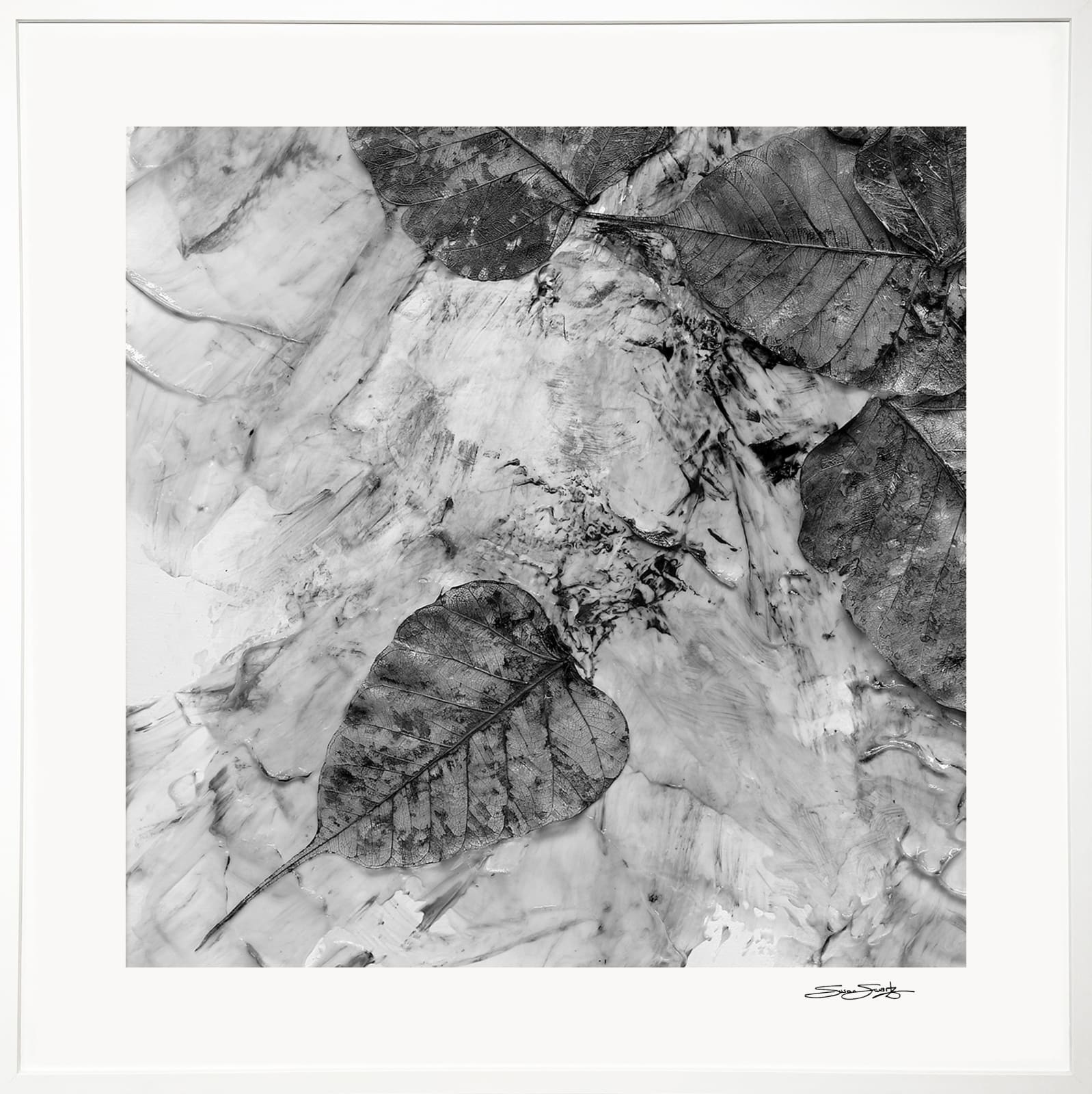 Susan Swartz, Changing Seasons 1 (B&W 4), 2022