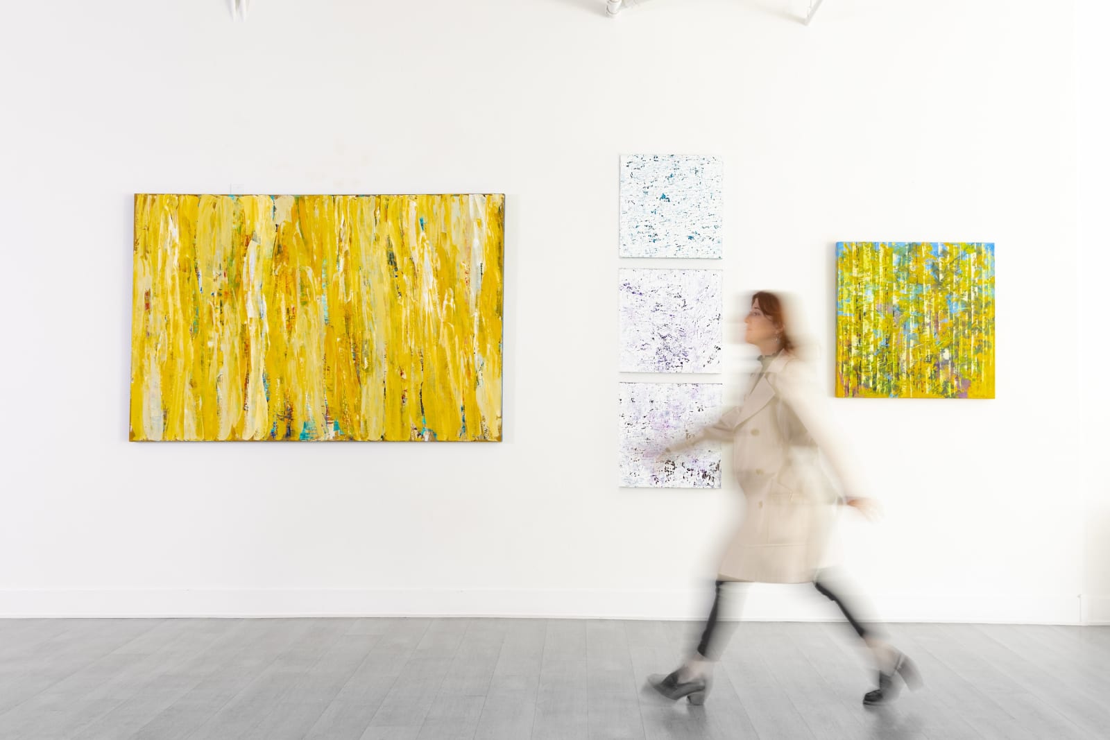 Susan Swartz, Hidden Forest, 2012