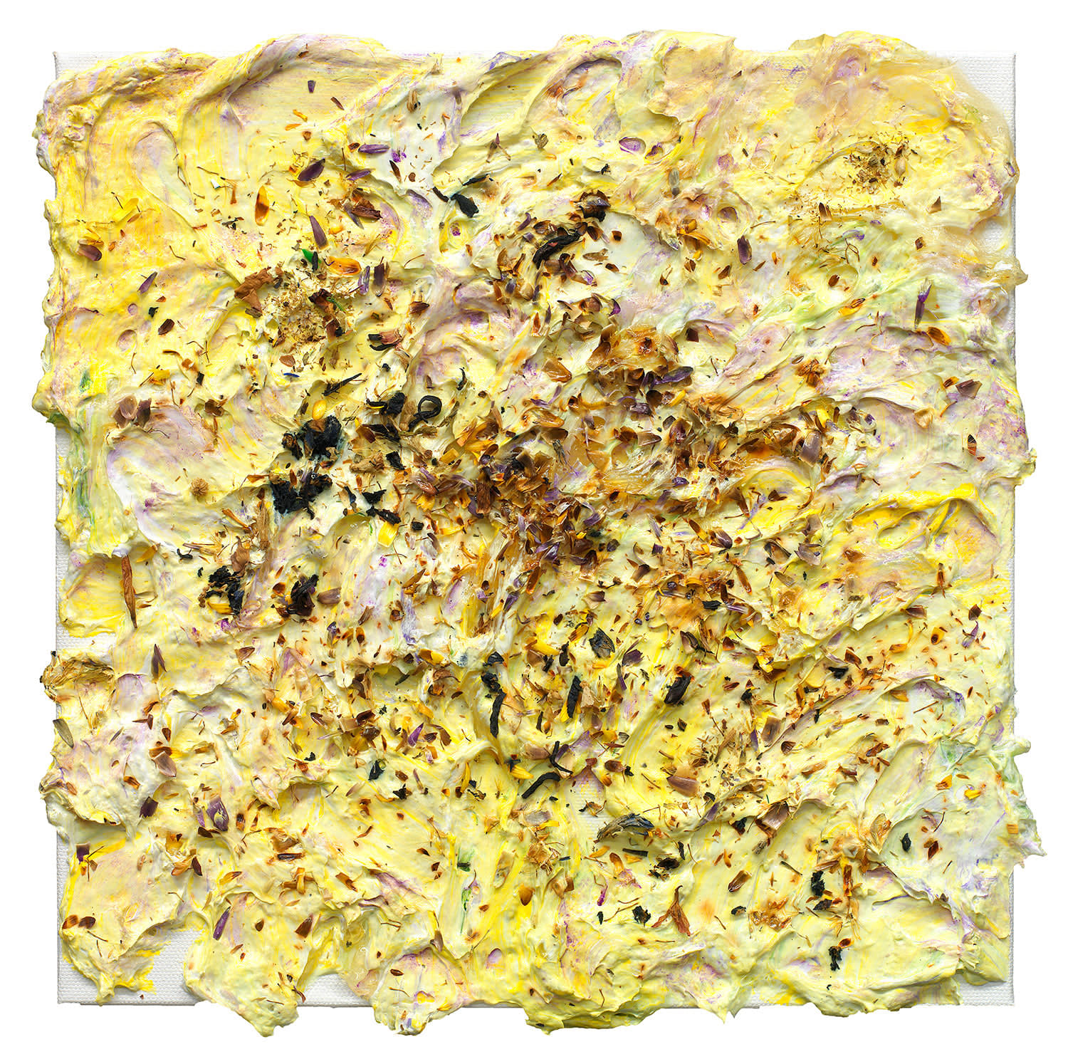 Susan Swartz, Living Wall 10, 2024