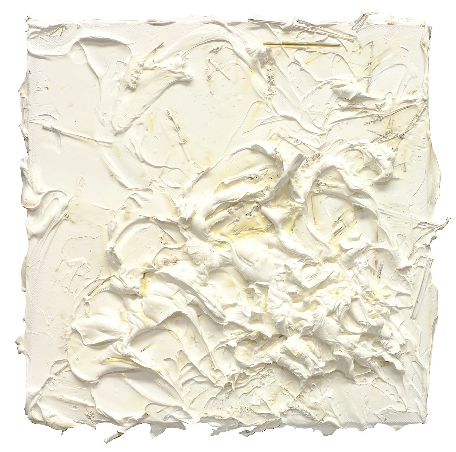 Susan Swartz, Nature's Resurgence 9, 2021