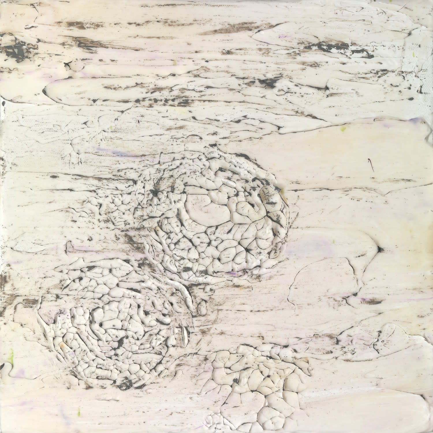 Susan Swartz, Nature Revisited 52, 2018