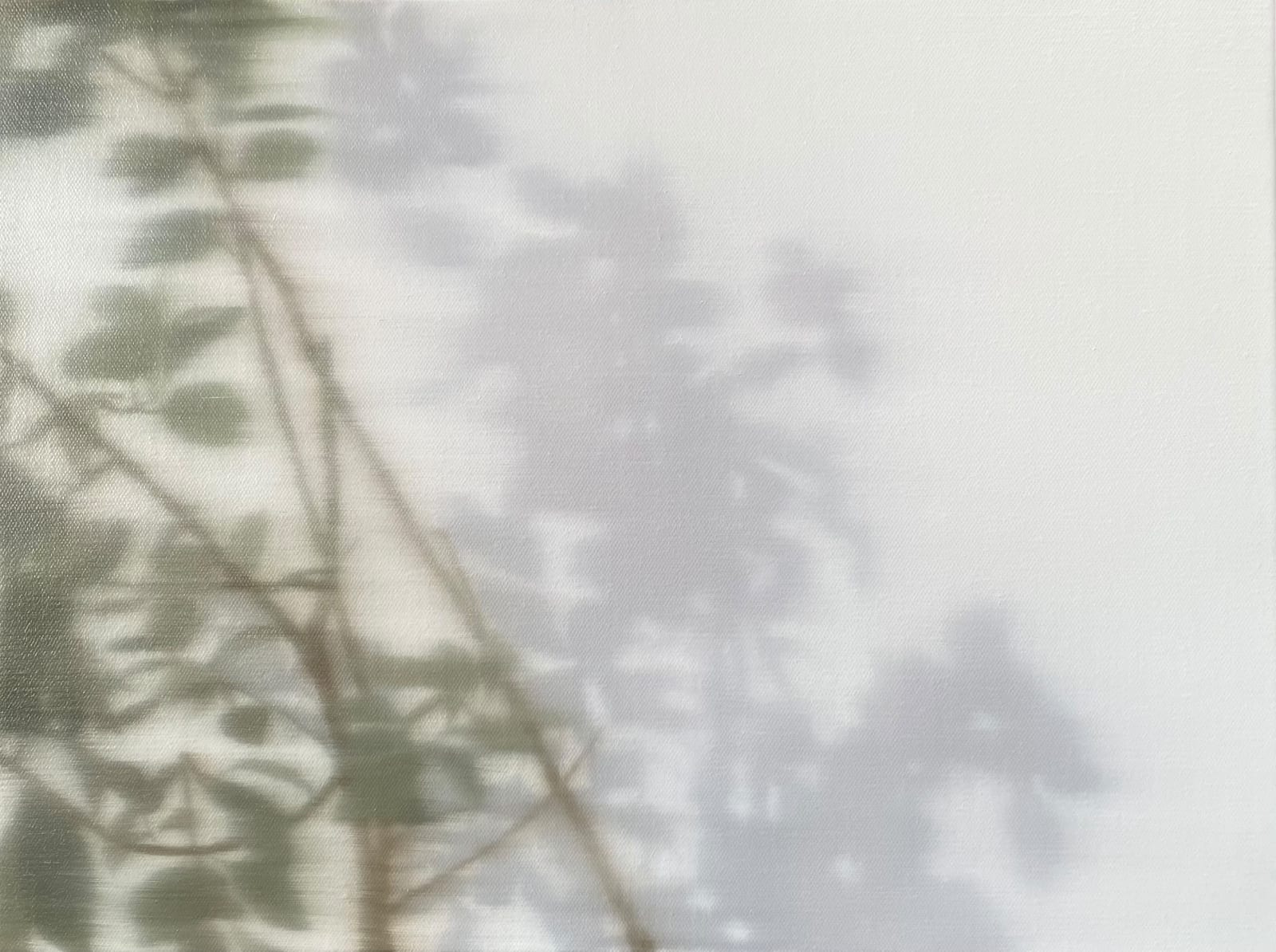 Tong Mo, Prelude of Light 13 , 2025