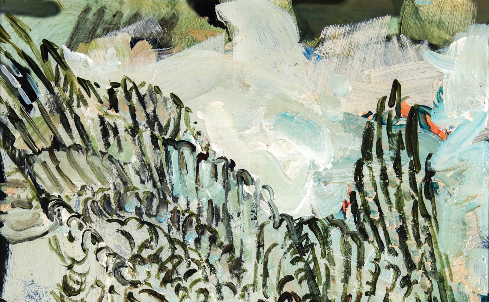 Tagreed Darghouth, From the series: "Gardens and Jungles", 12, 2023