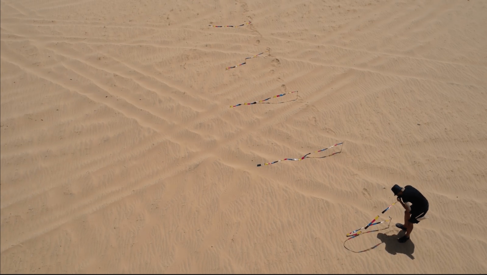 Hashel Al Lamki, Desert Hay, 2023
