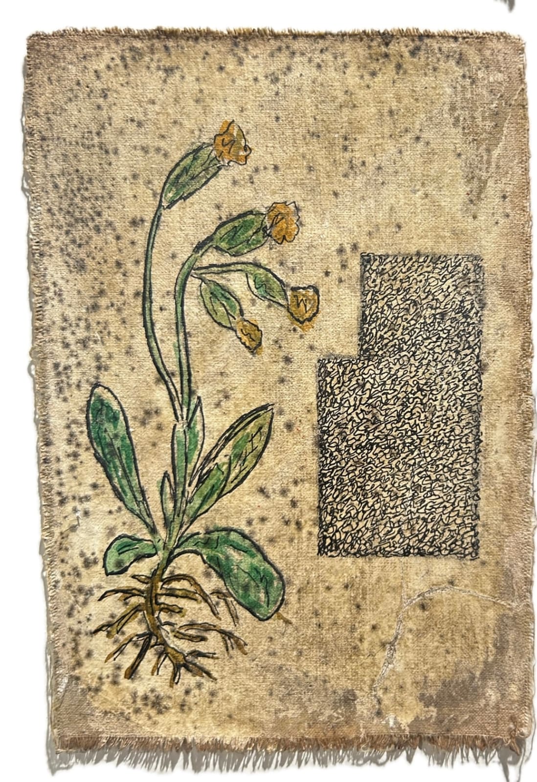 Mohamed Monaiseer, Dictionary #63, 2014