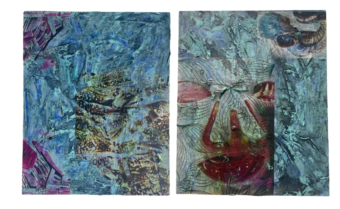 Talal Al Najjar Crabaroo Skin-Care, 2025 Acrylic, vinyl on canvas diptych 76 x 61 cm
