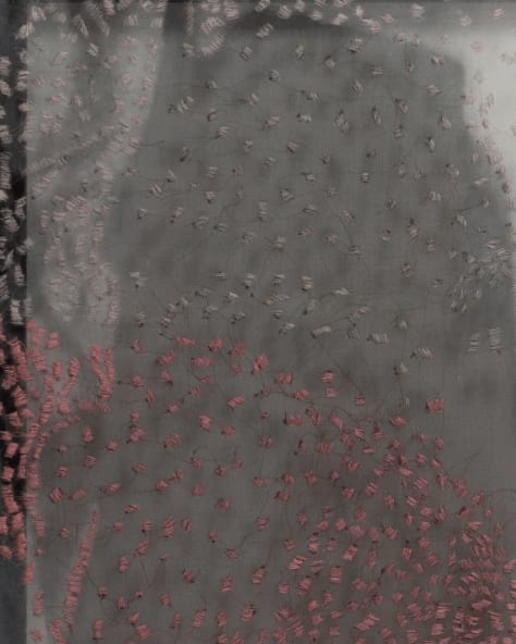 Hana Almilli, Languages Interlacing 02 - Echoes of my , 2019