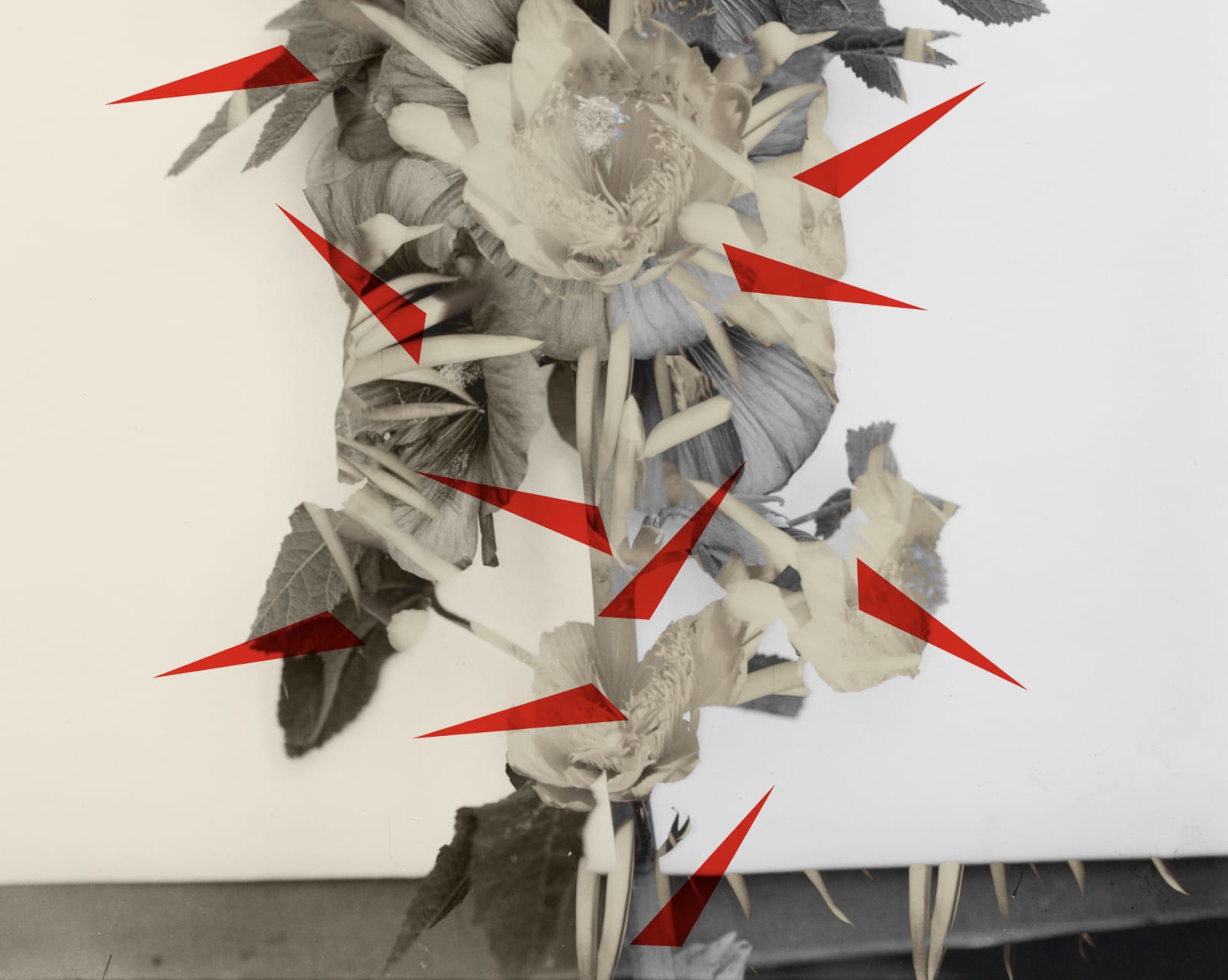 Hazem Harb, Thorns No 2, 2022