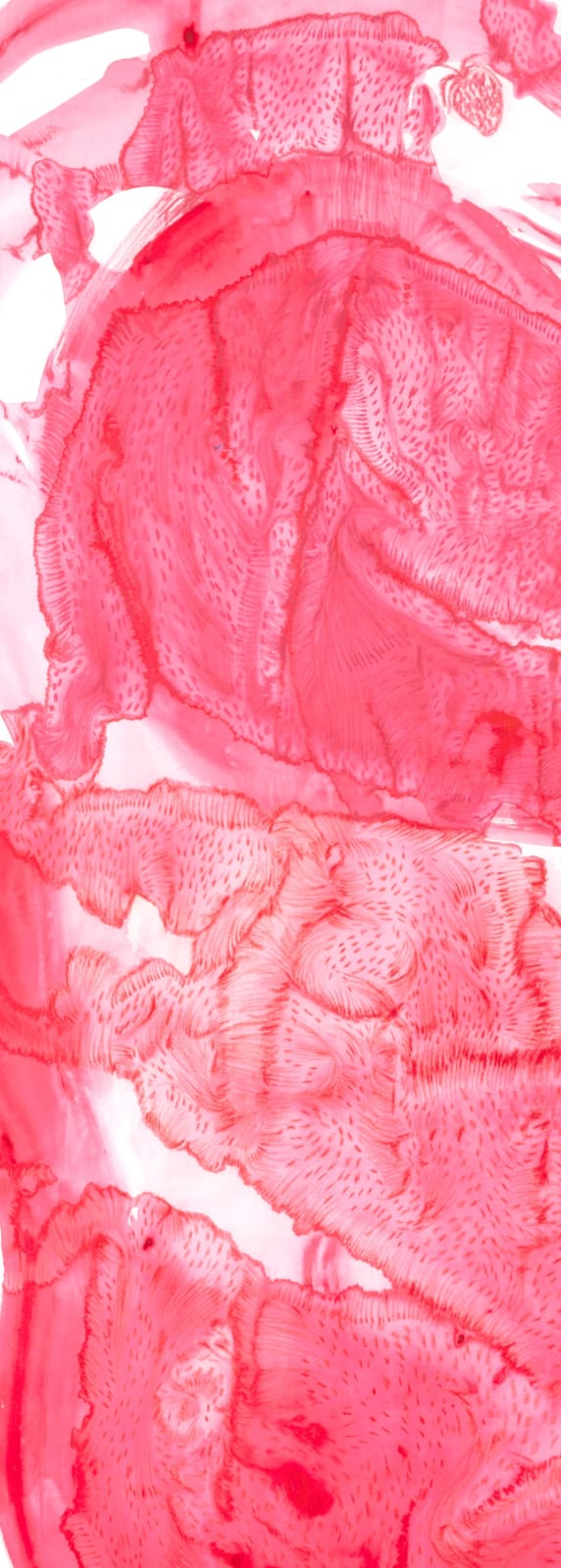 Alymamah Rashed My Reds Will Grow A Strawberry Field #1, 2024 Watercolor and dry pastel on paper 260 x 90 cm 102 3/8 x 35 3/8 in (C01013)