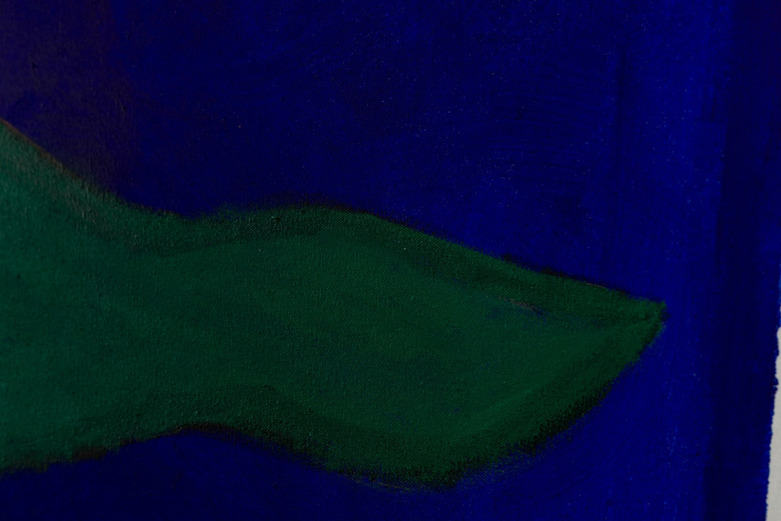 Nasser Almulhim, The within world, 2024