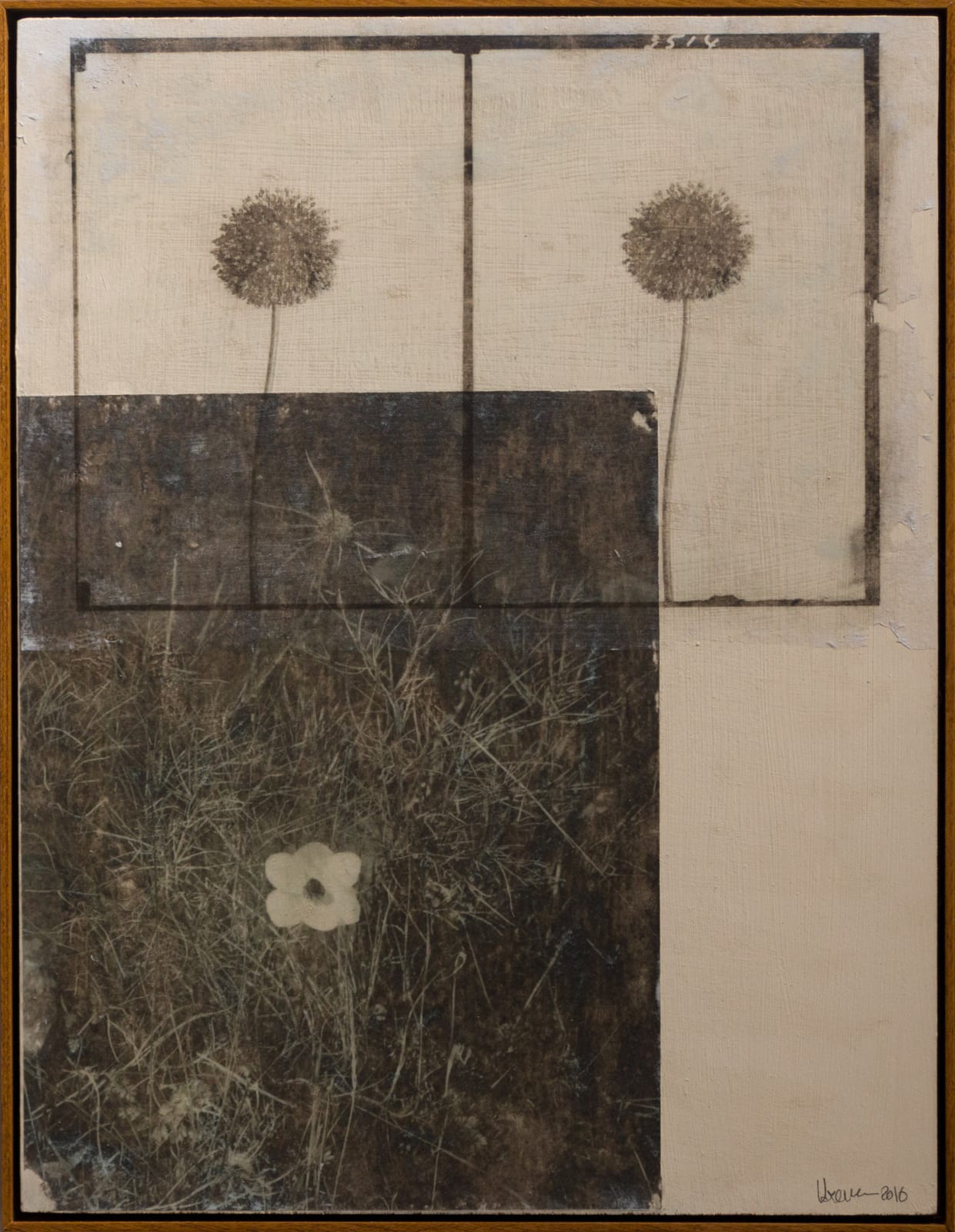 Hazem Harb, Extinct Flowers, 2016